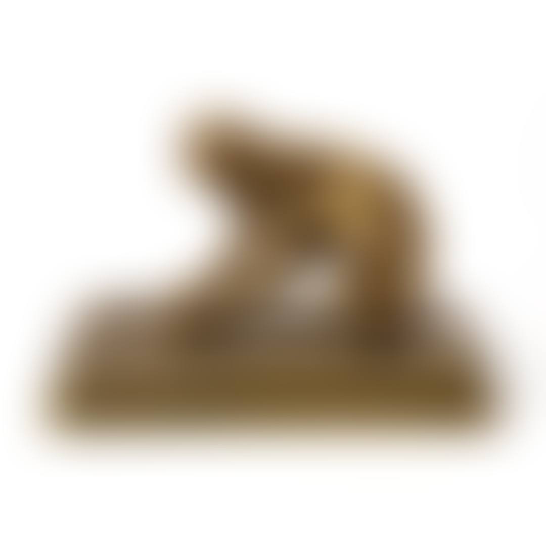 Kliande hund (preview)