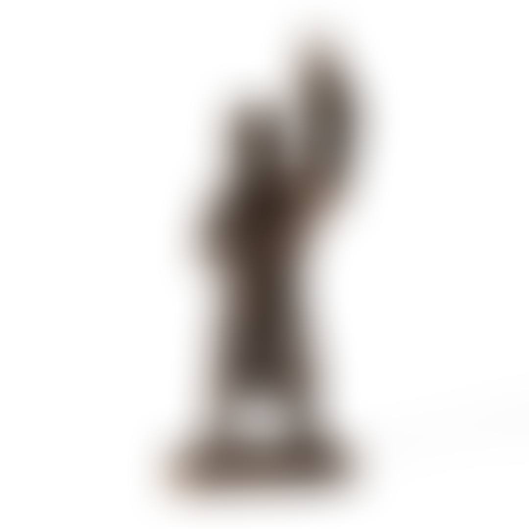 Scholaris (preview)