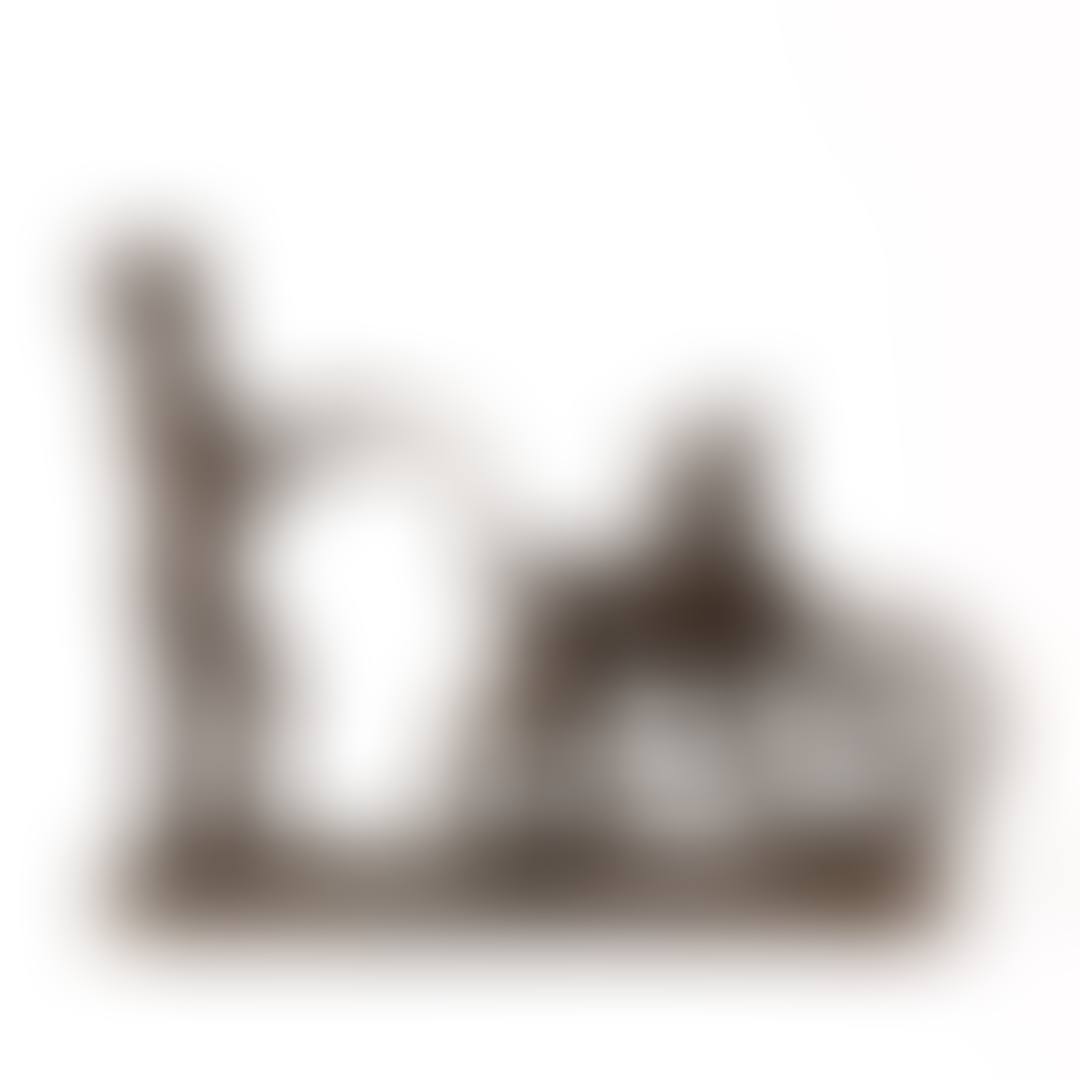 Man med barnvagn (preview)