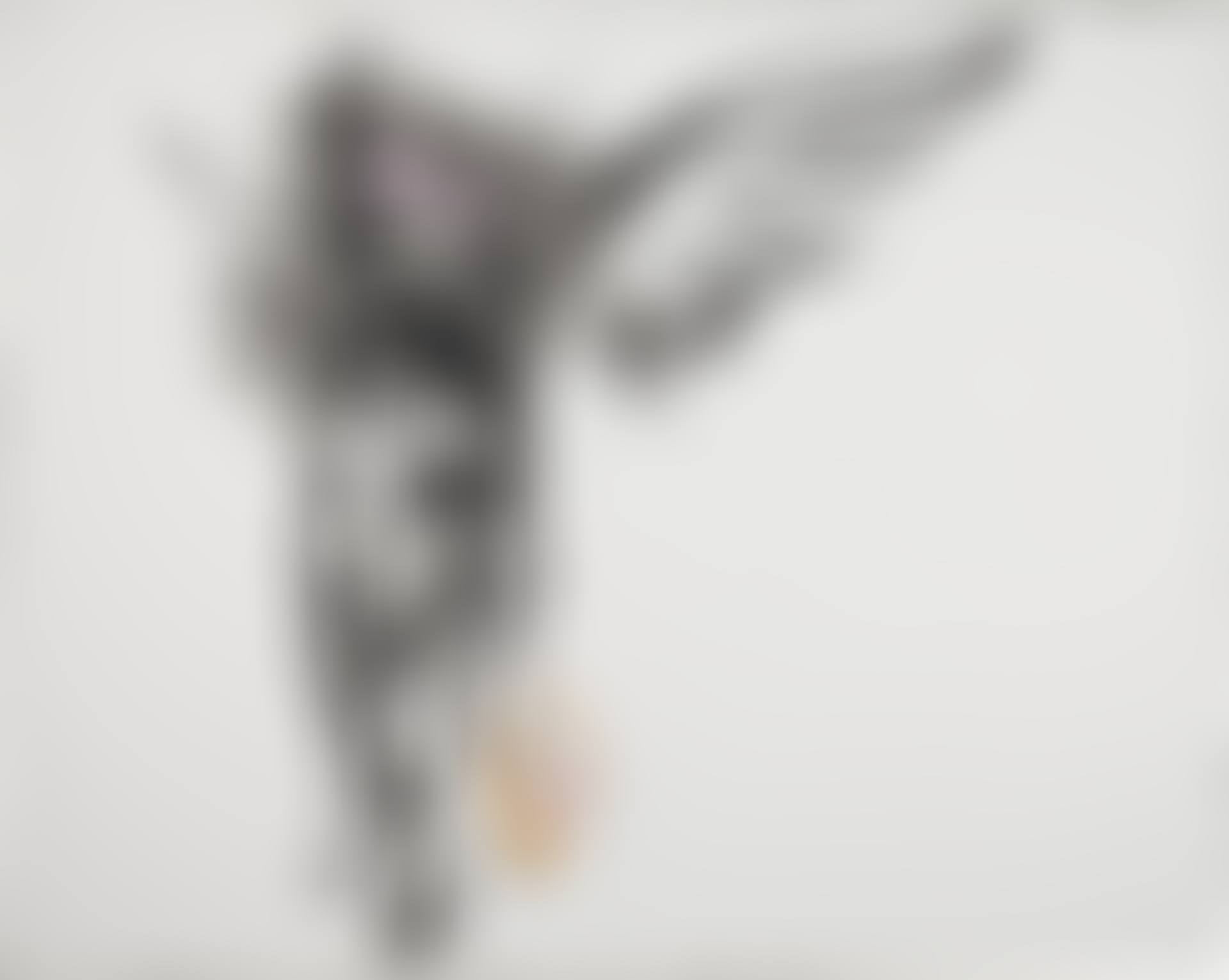 Hobo Angel, Burger King (preview)
