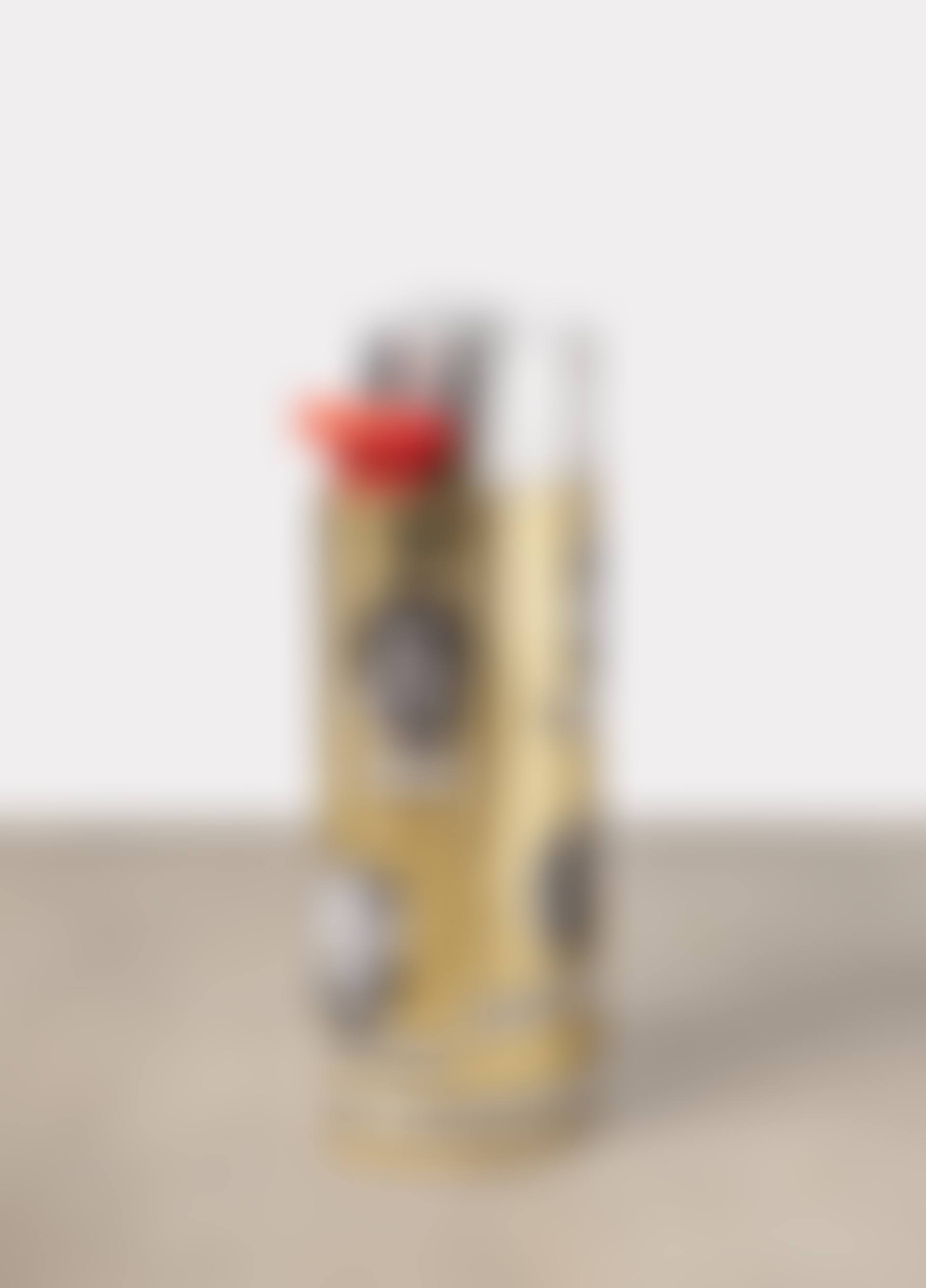 Musée Précaire Albinet (Lighter) (preview)