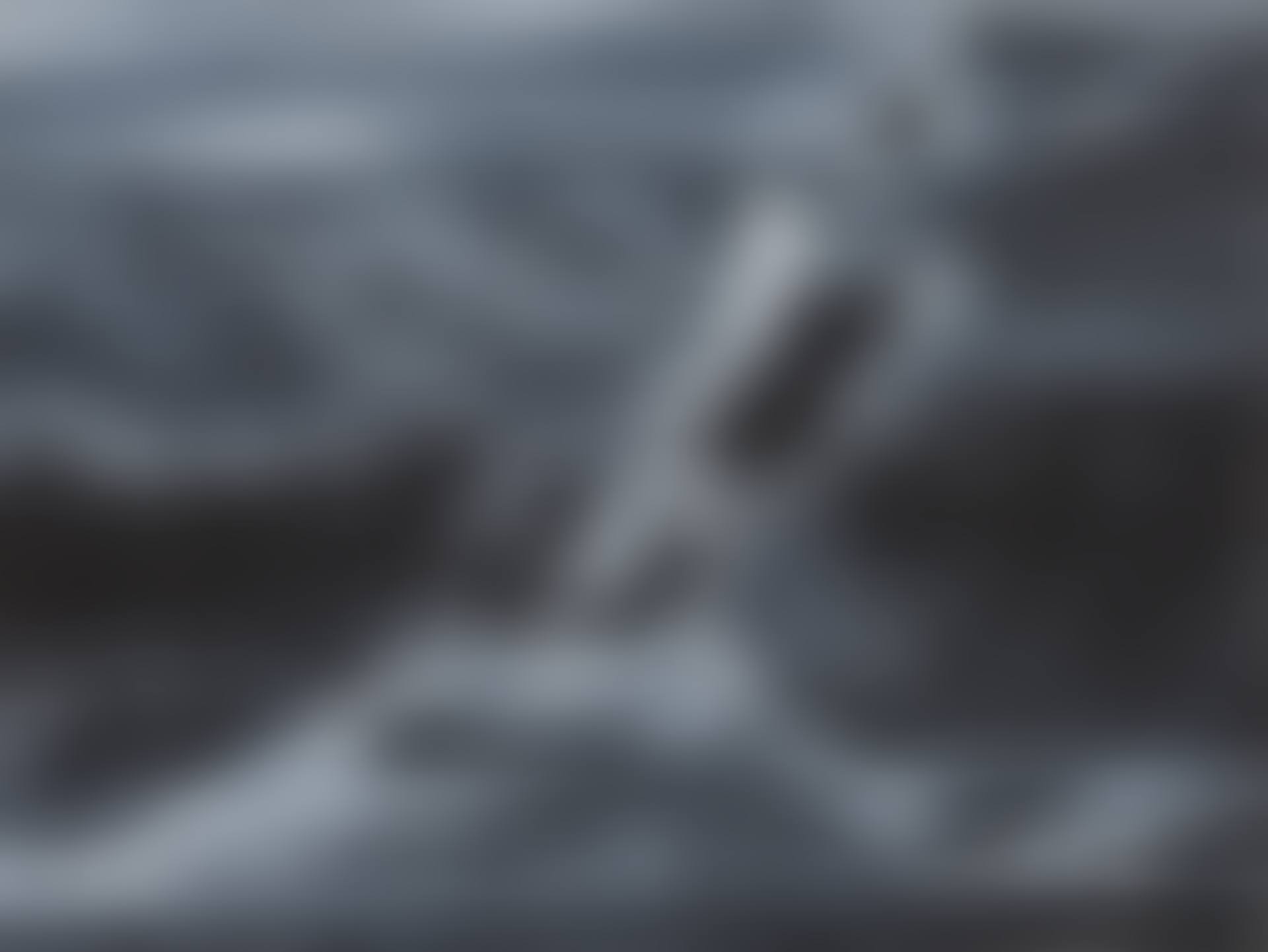 Antarctica (preview)