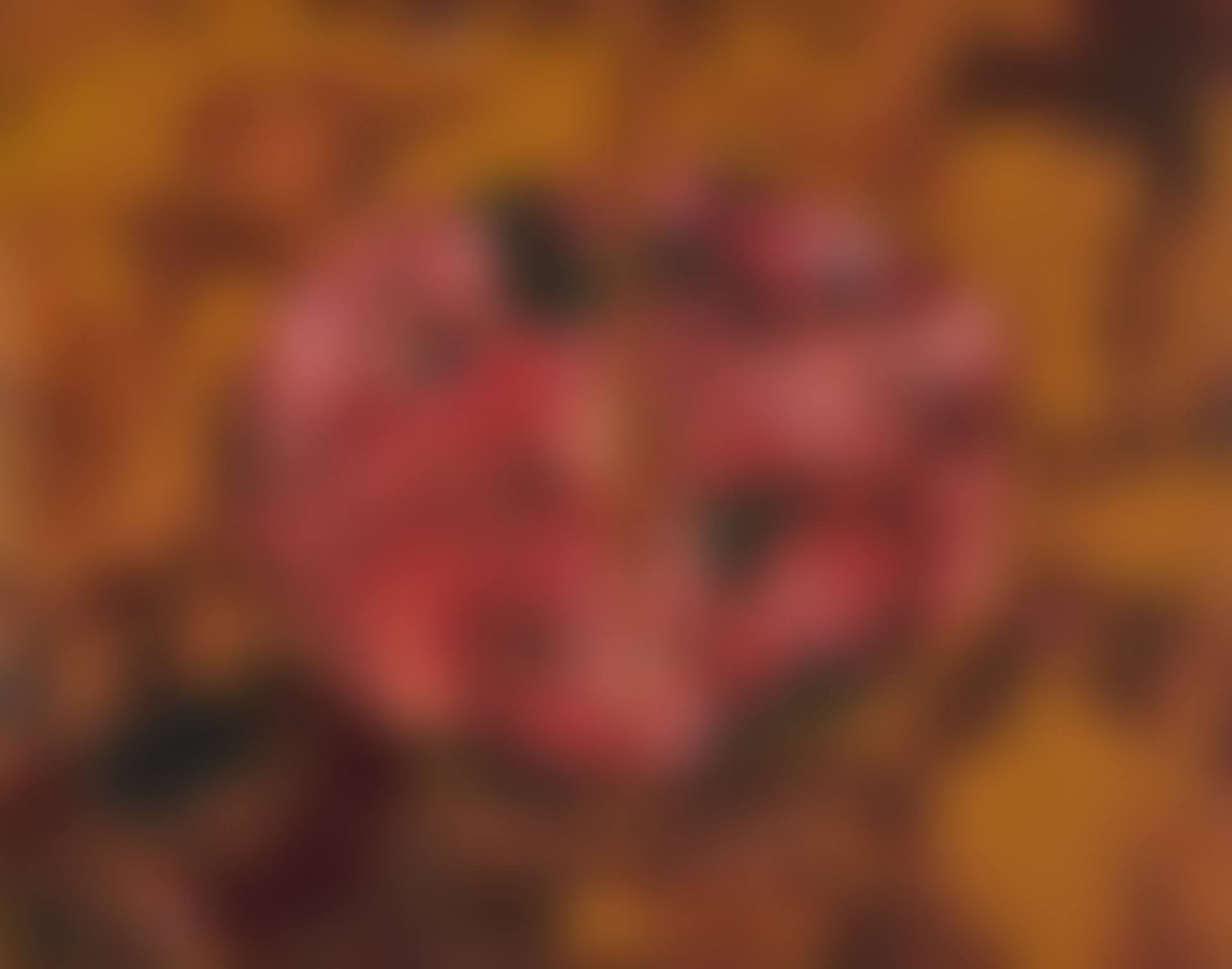 ??? DESCRIPTION 'Mutilus II' (preview)