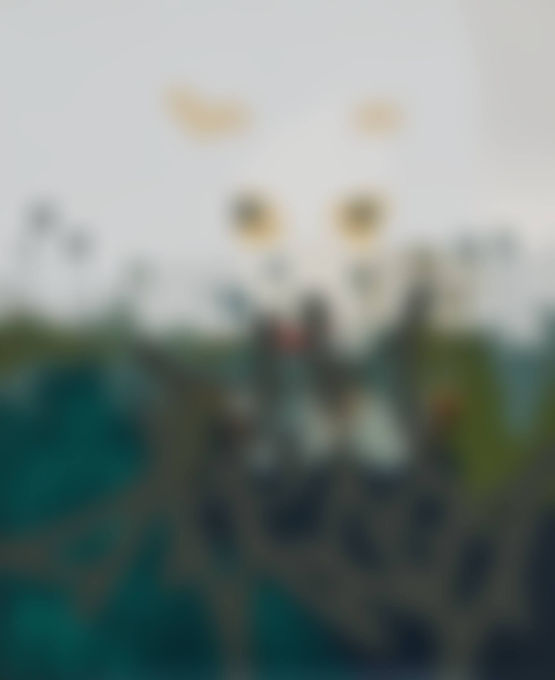 MURDER OF CROWS (preview)