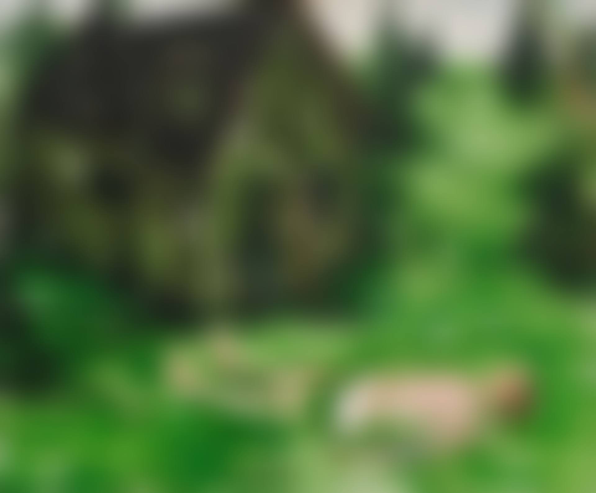 Cabin (preview)