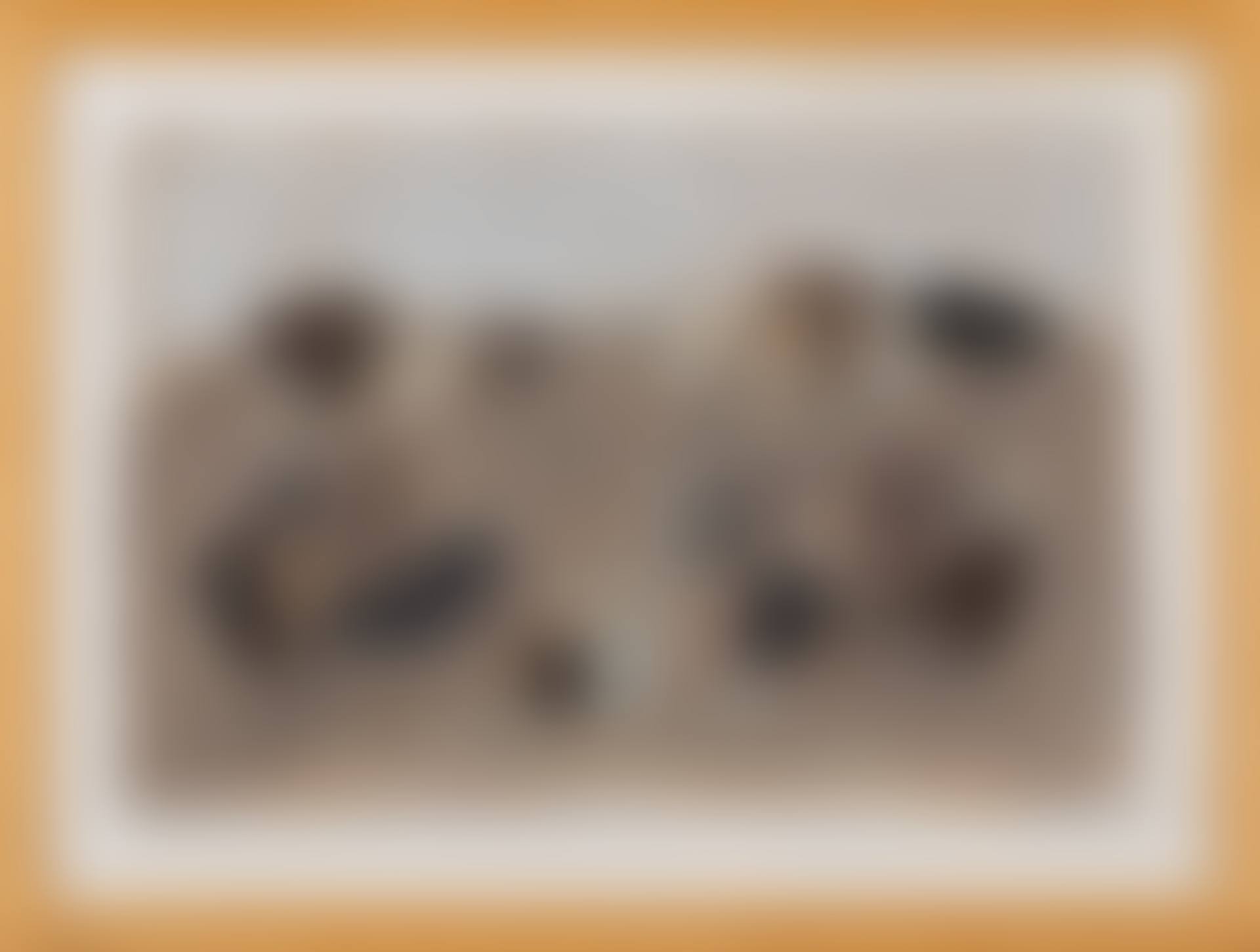 Rocce (preview)
