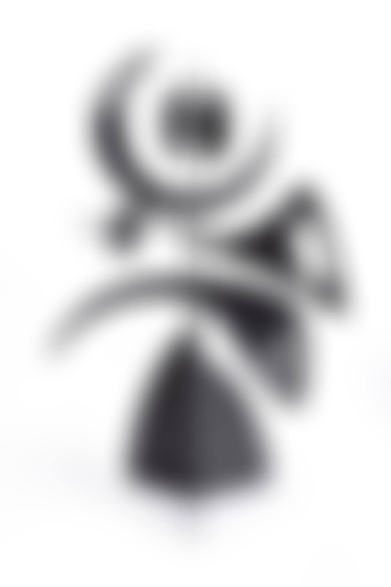 Winter Weather Vane (preview)
