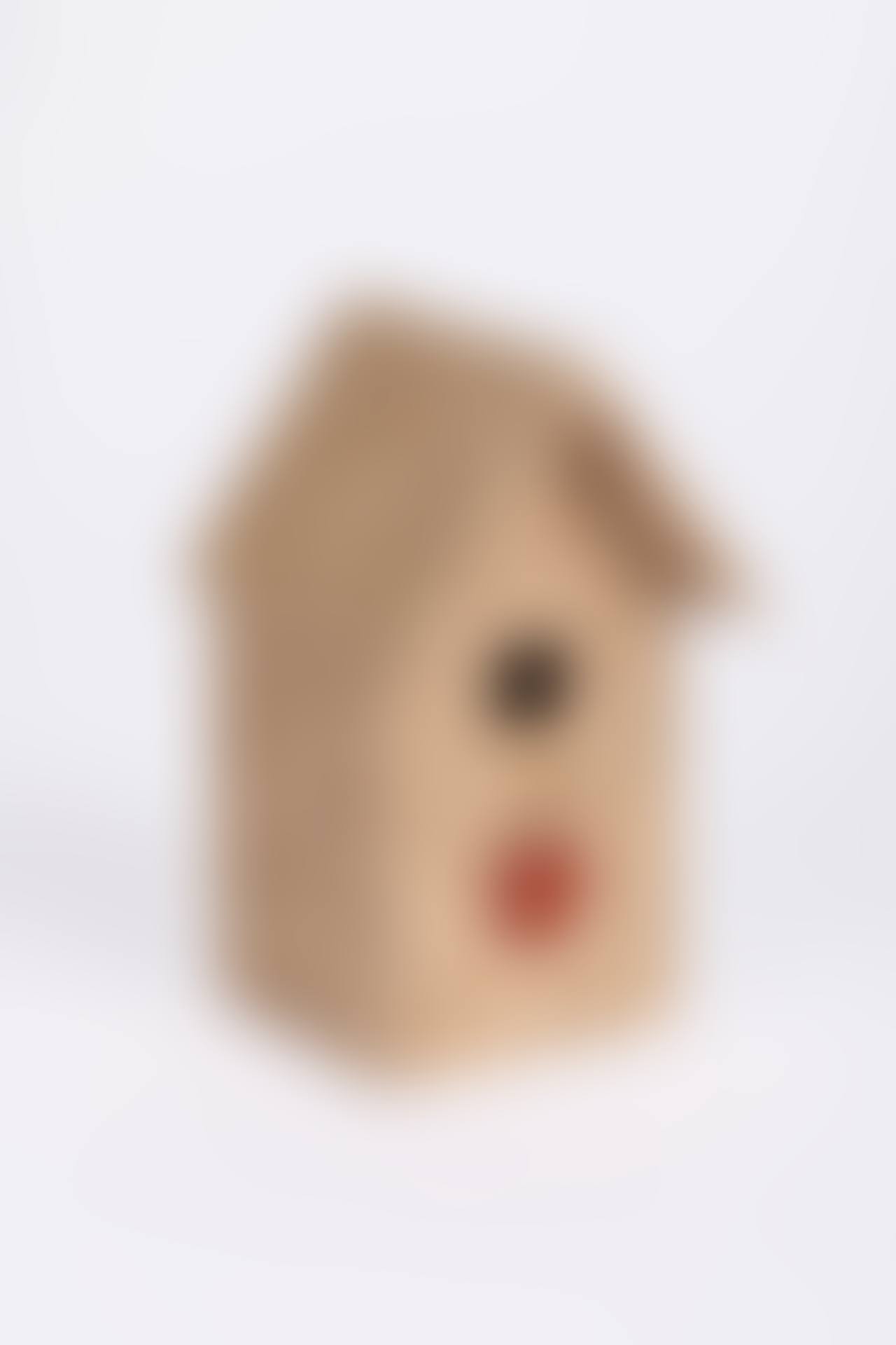 A Bird"s Nest (preview)