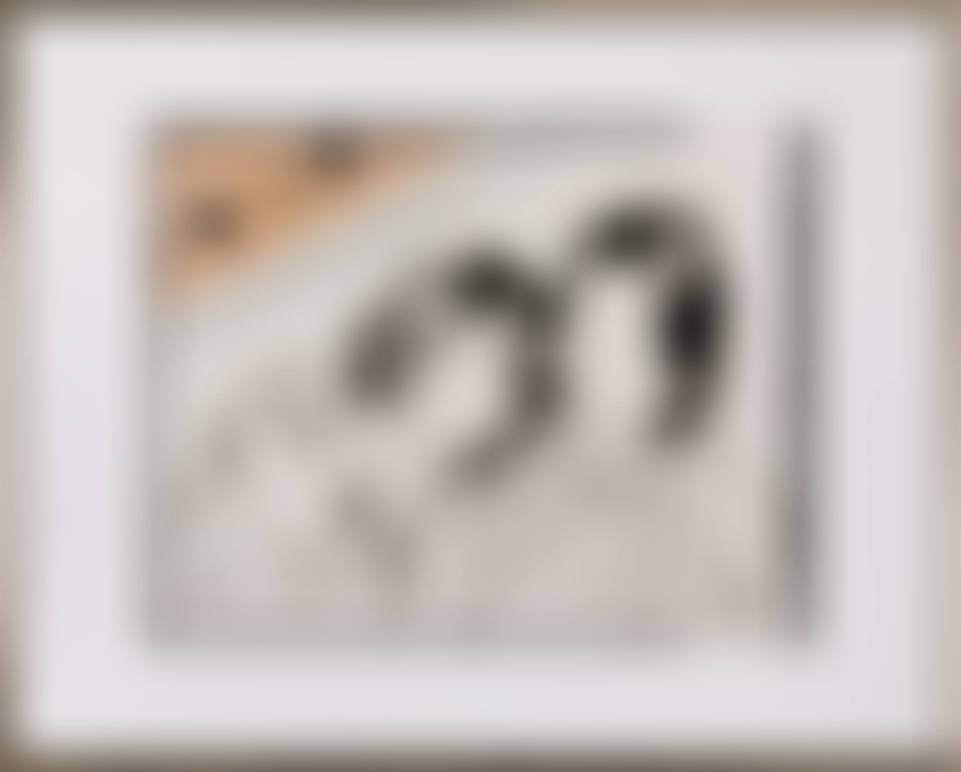 Doves (preview)
