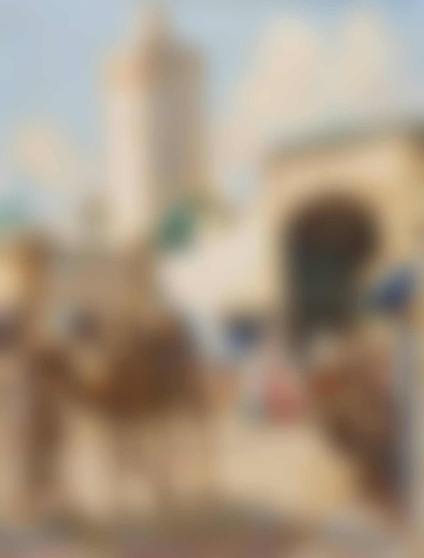 The entrance to Mogador, Morocco (preview)