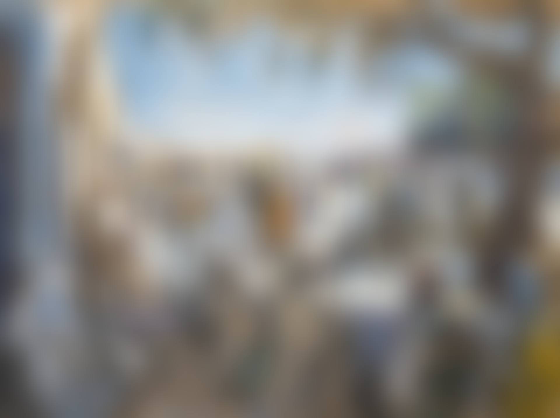 Market Day in Kairouan (preview)