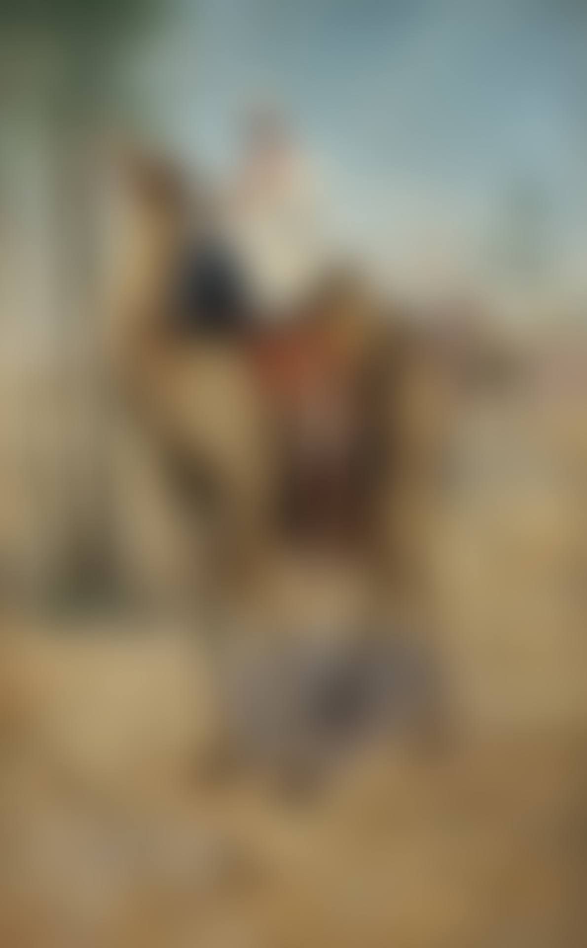 Touggourt (preview)