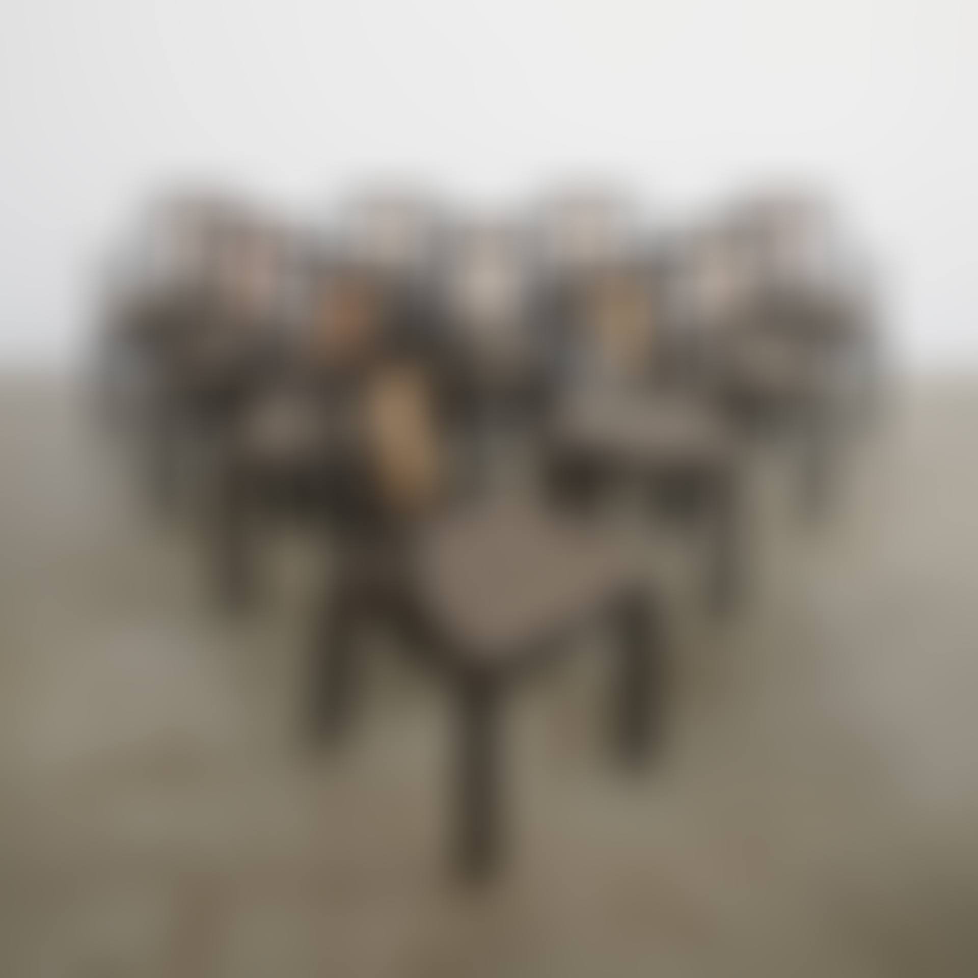 Ensemble de dix fauteuils; A set of ten armchairs (preview)