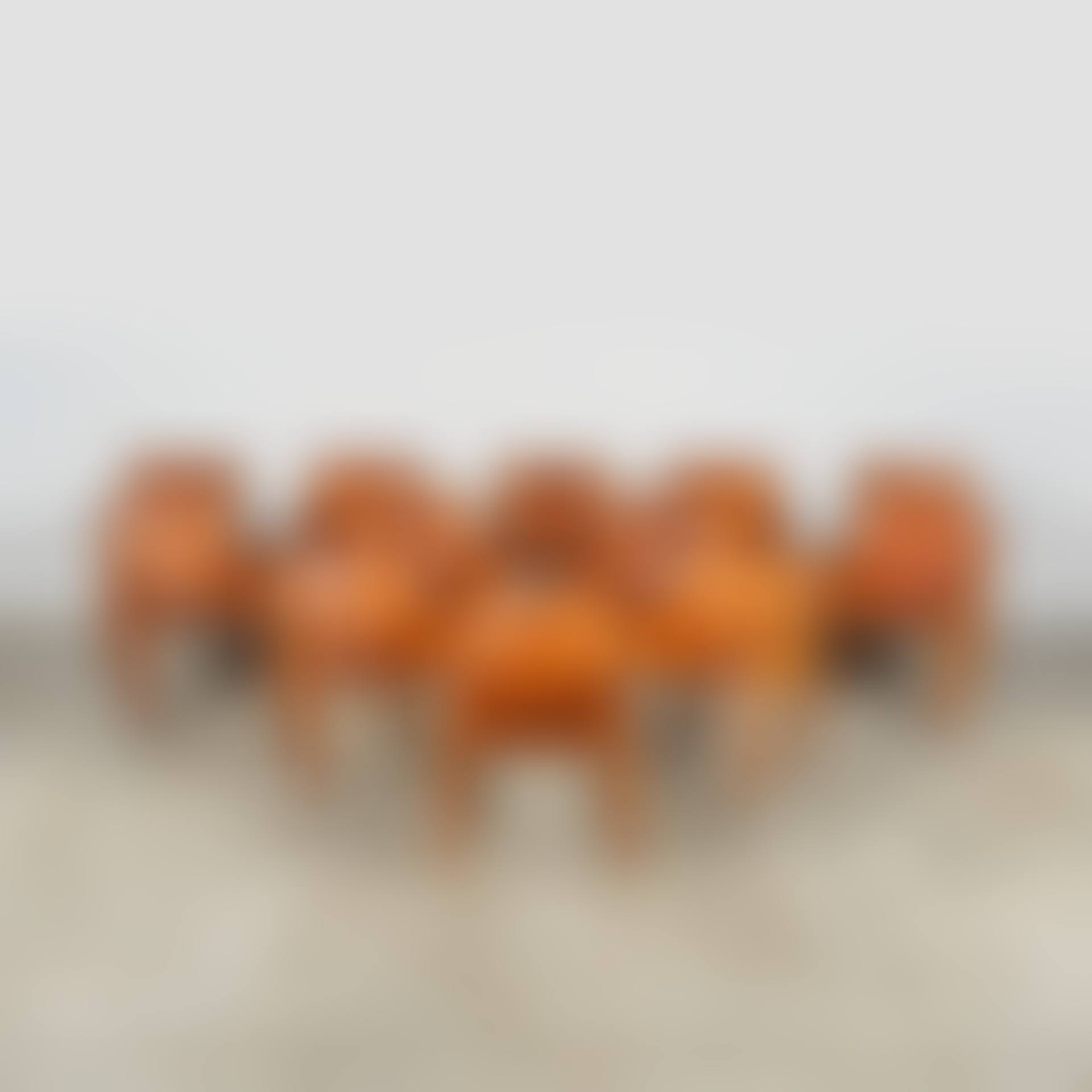 Ensemble de douze chaises CAB 413; CAB 413 (preview)