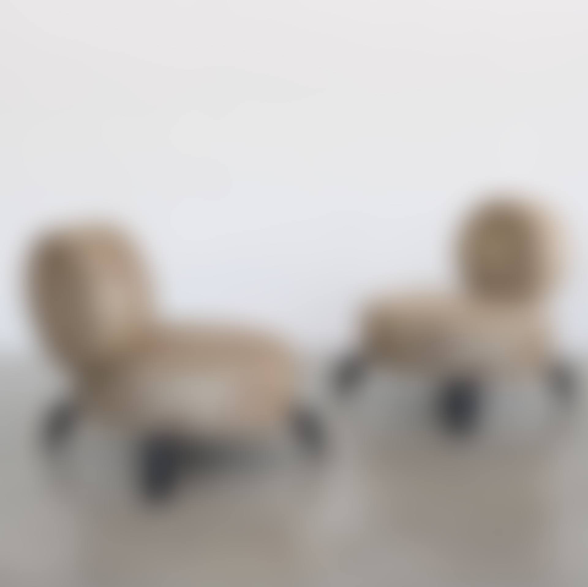 Paire de fauteuils Bluc; A pair of monogrammed "Bluc" armchairs (preview)