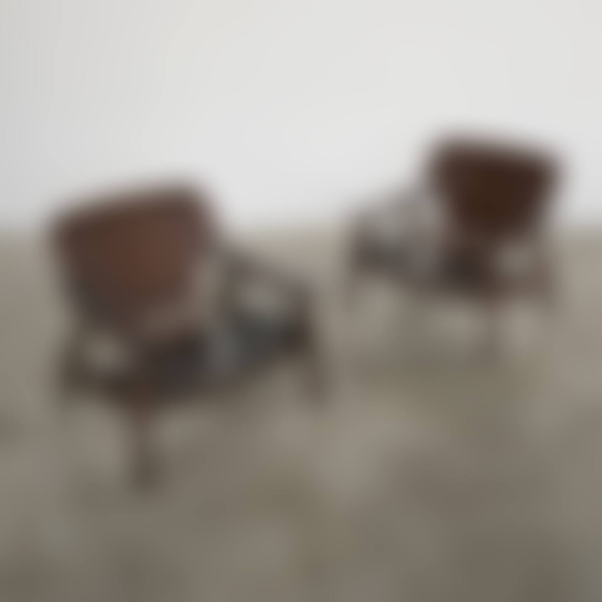 Paire de fauteuils Diz; A pair of "Diz" armchairs (preview)