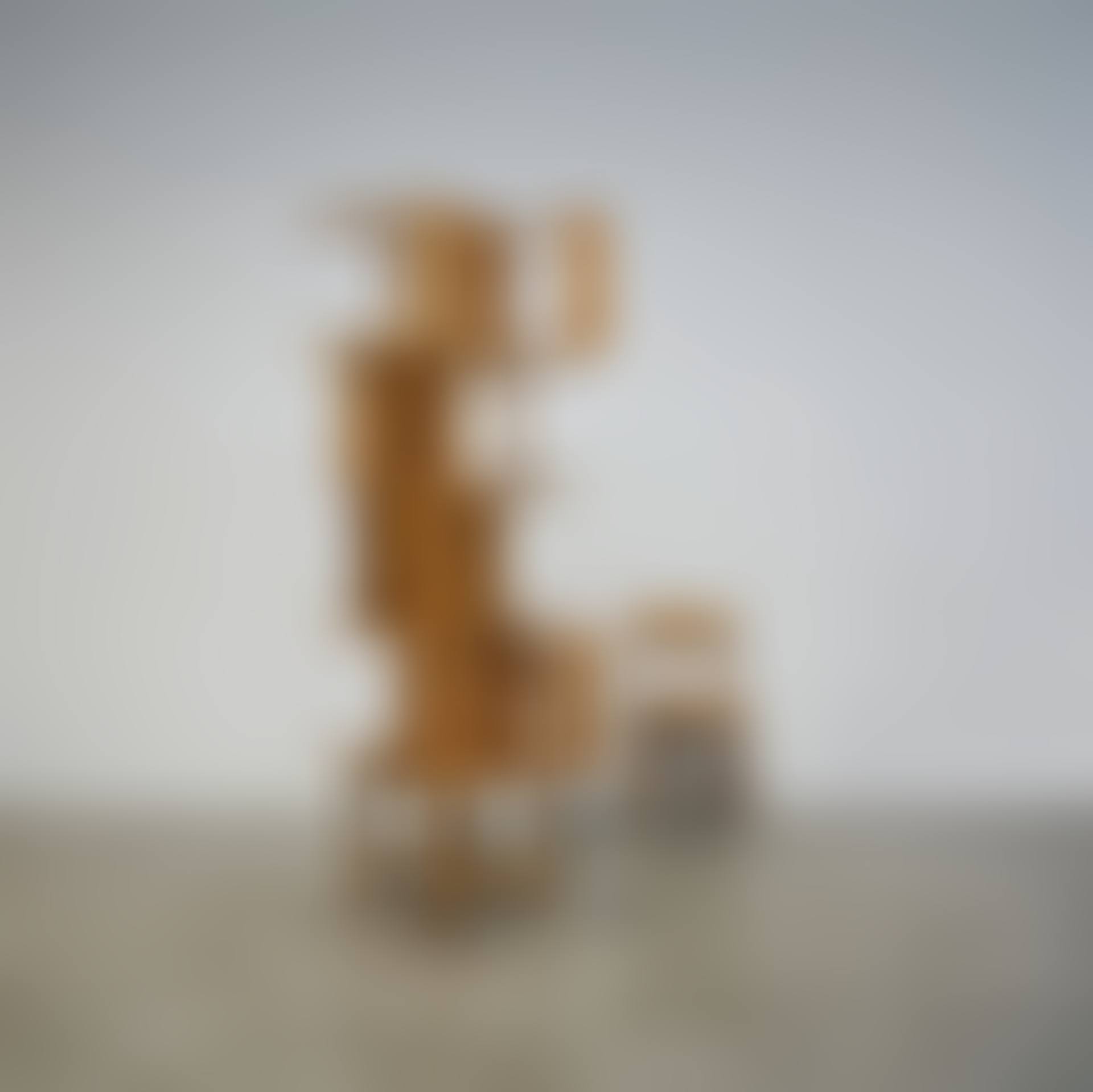 Ensemble de six chaises Paul; lier365 (preview)