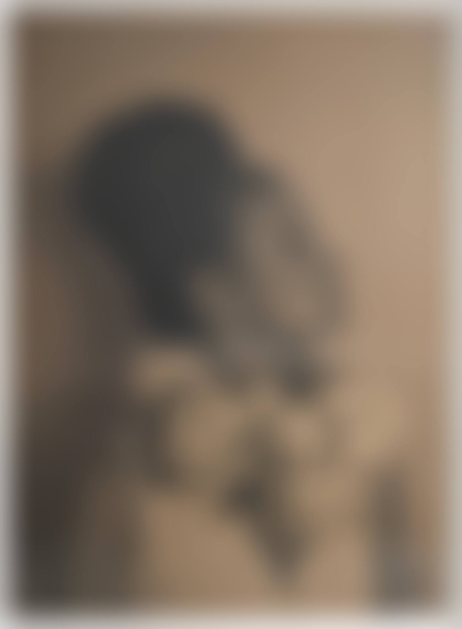 "quattro" (preview)