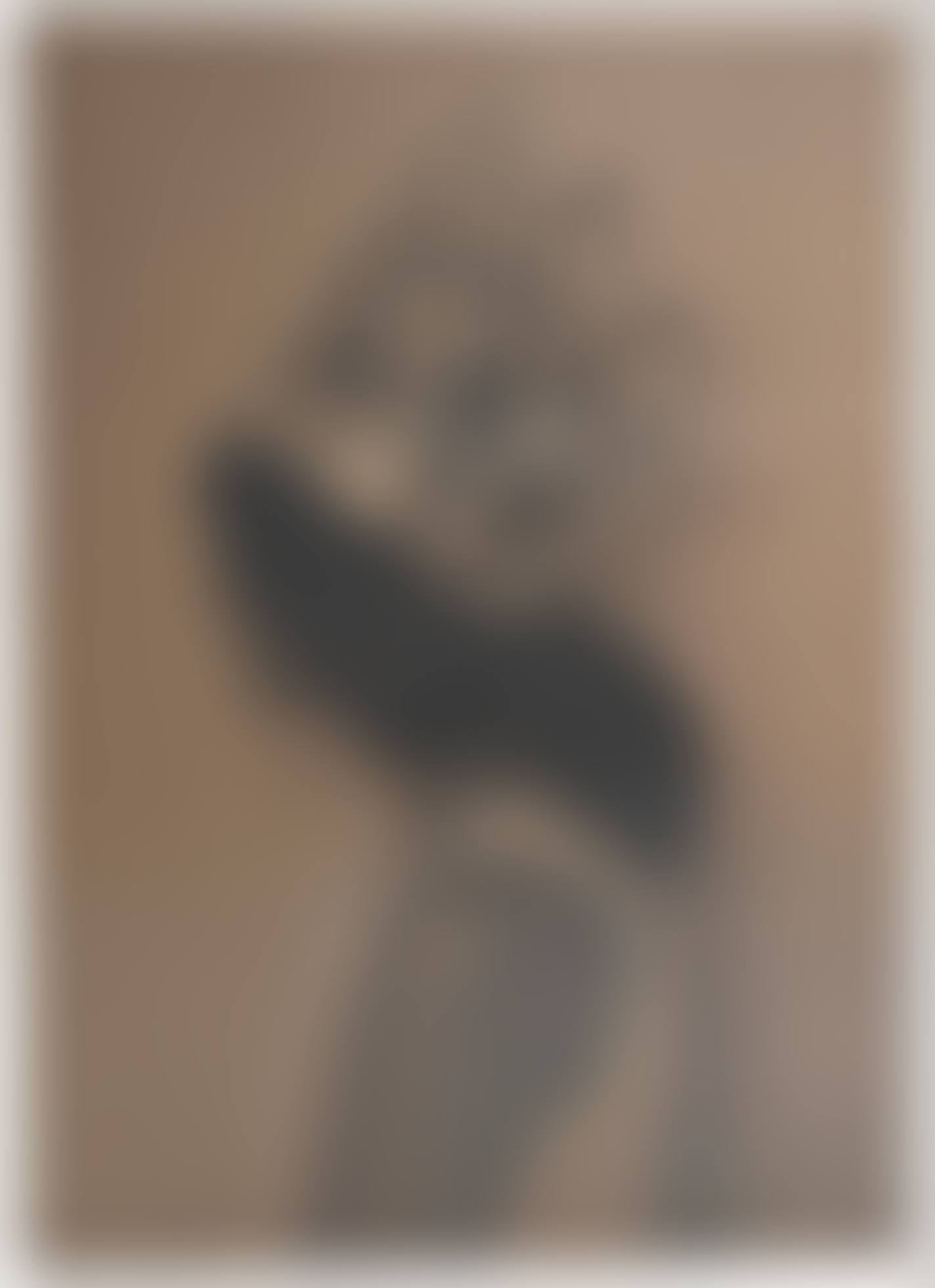 “uno” (preview)