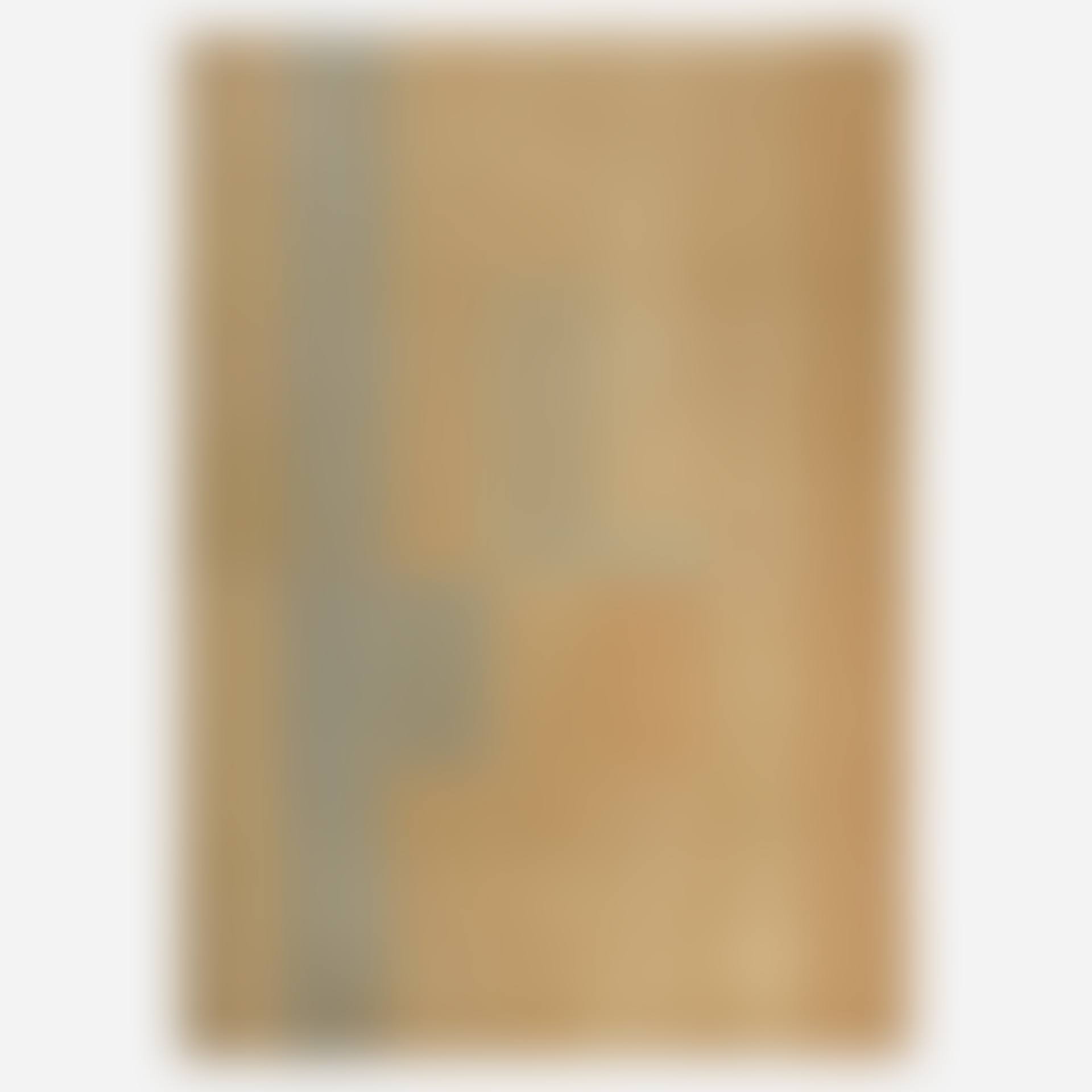 Flatweave carpet (preview)