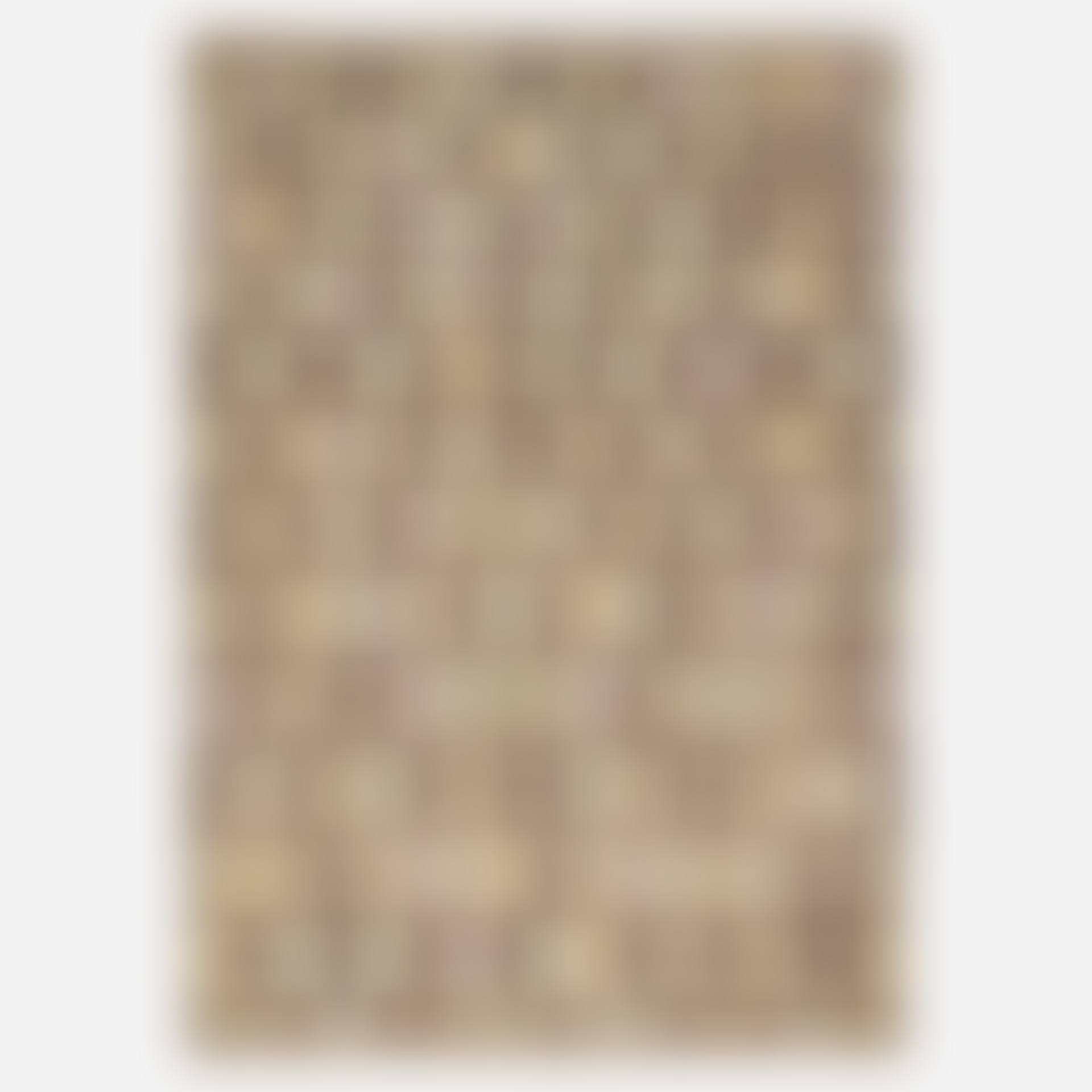 Chakana half pile carpet (preview)