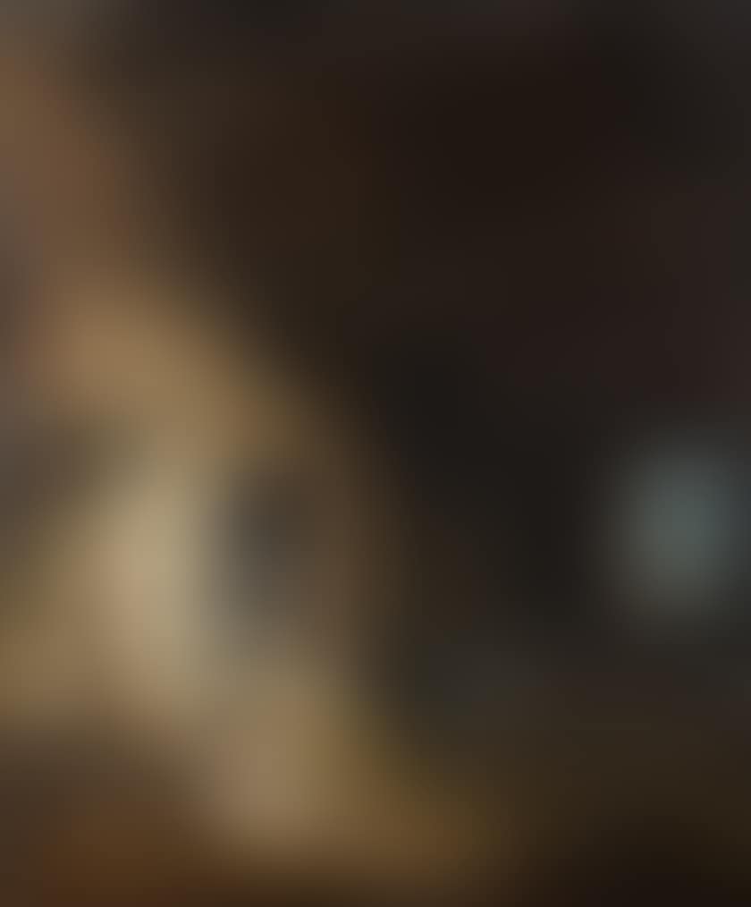 The stable of the donkey (preview)