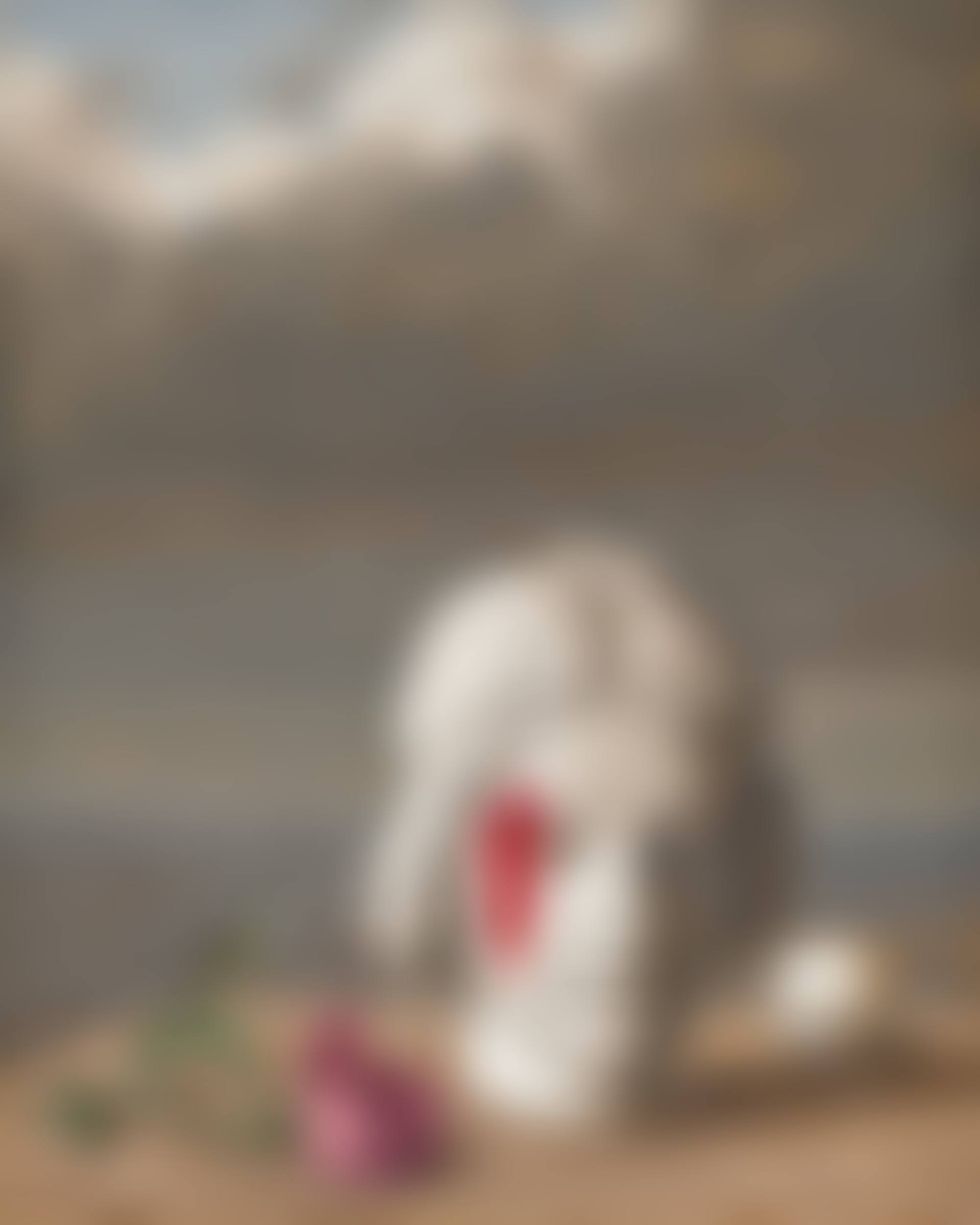 La mémoire (preview)