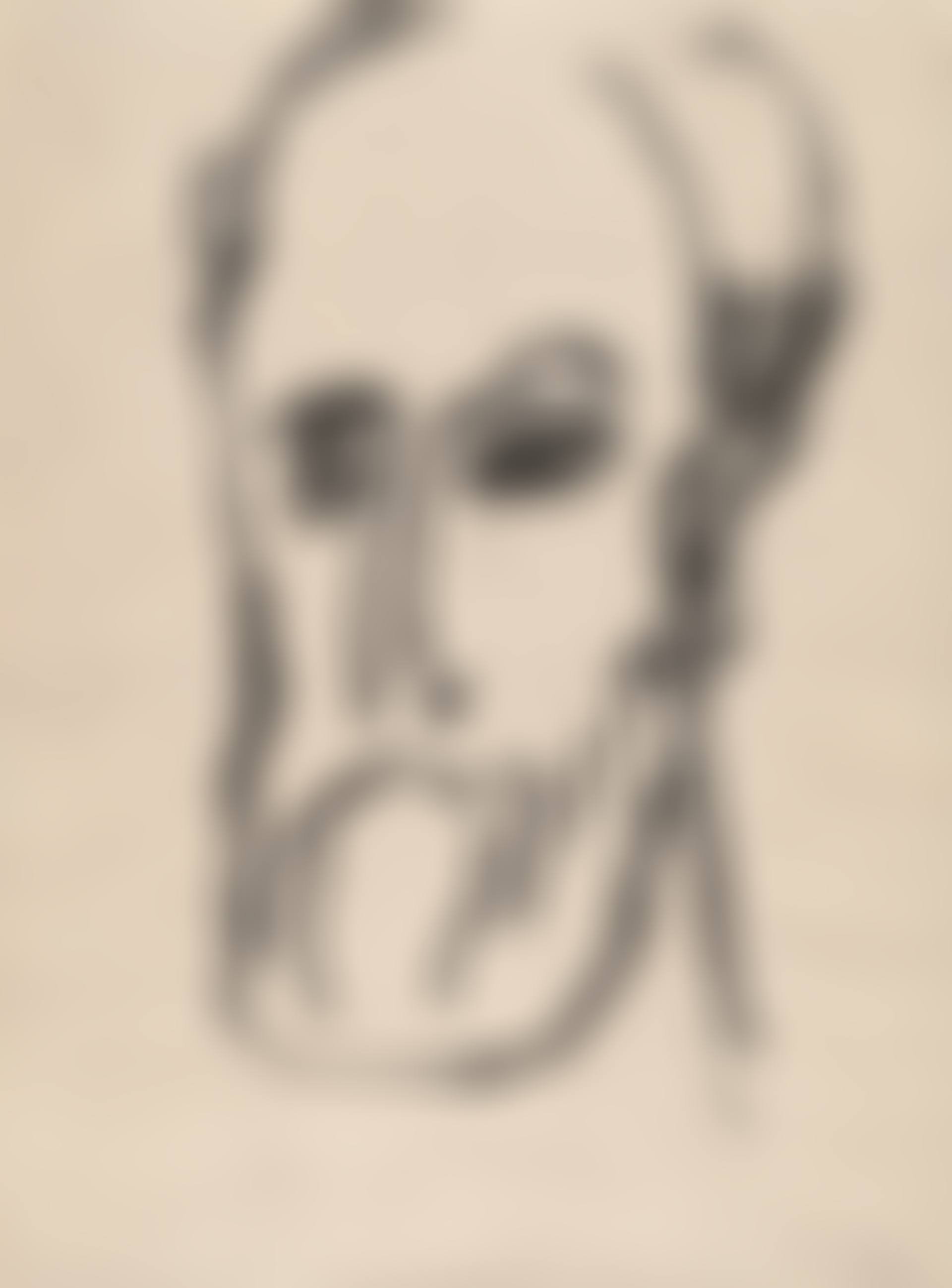 Kopf eines bärtigen Mannes (preview)