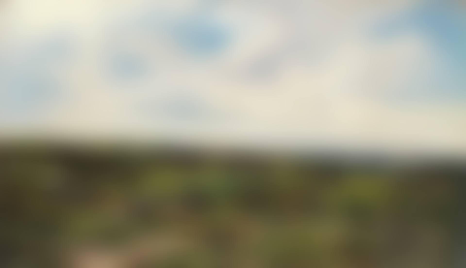 'On Wimbledon Common'  unframed (preview)