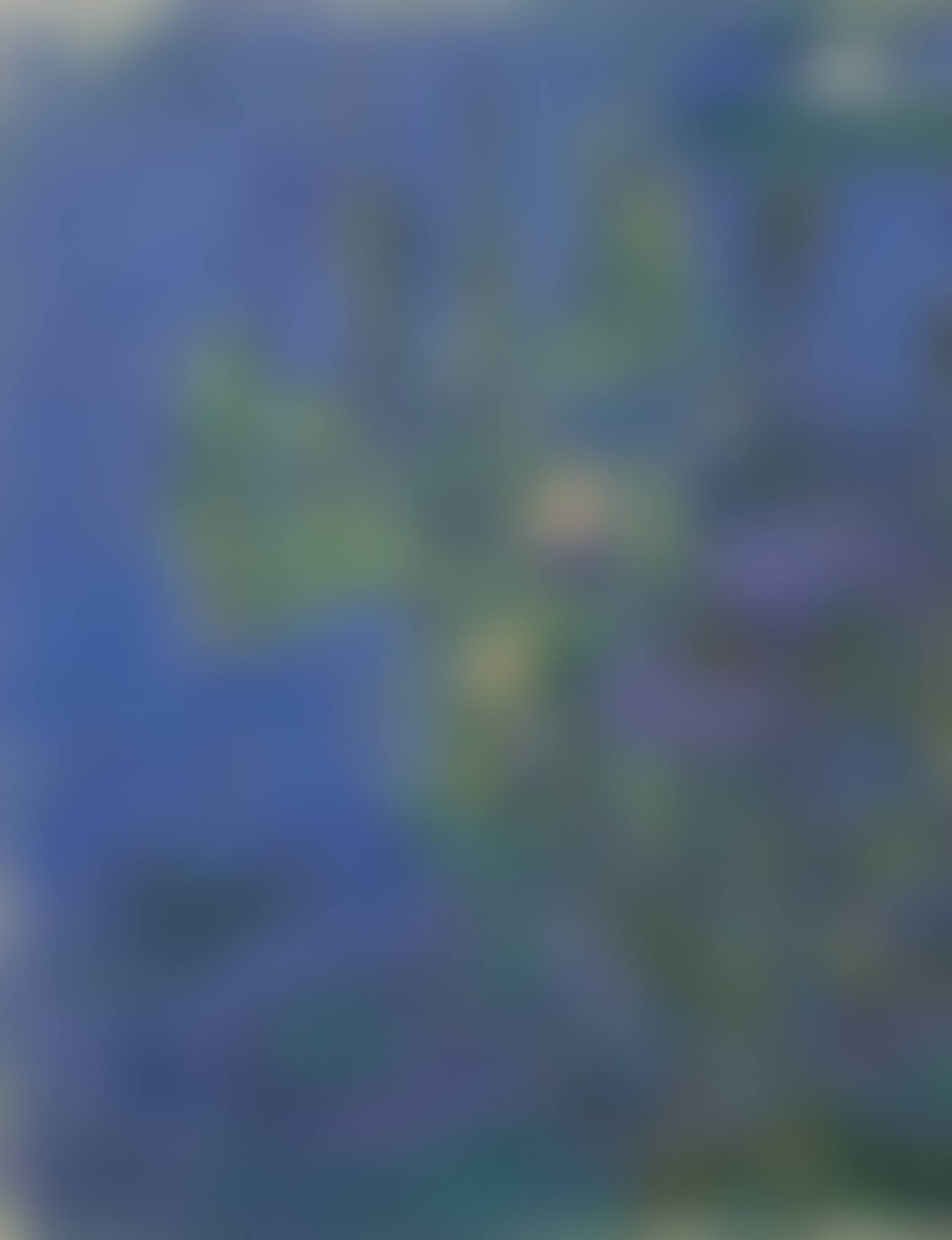 Nymphéas (preview)