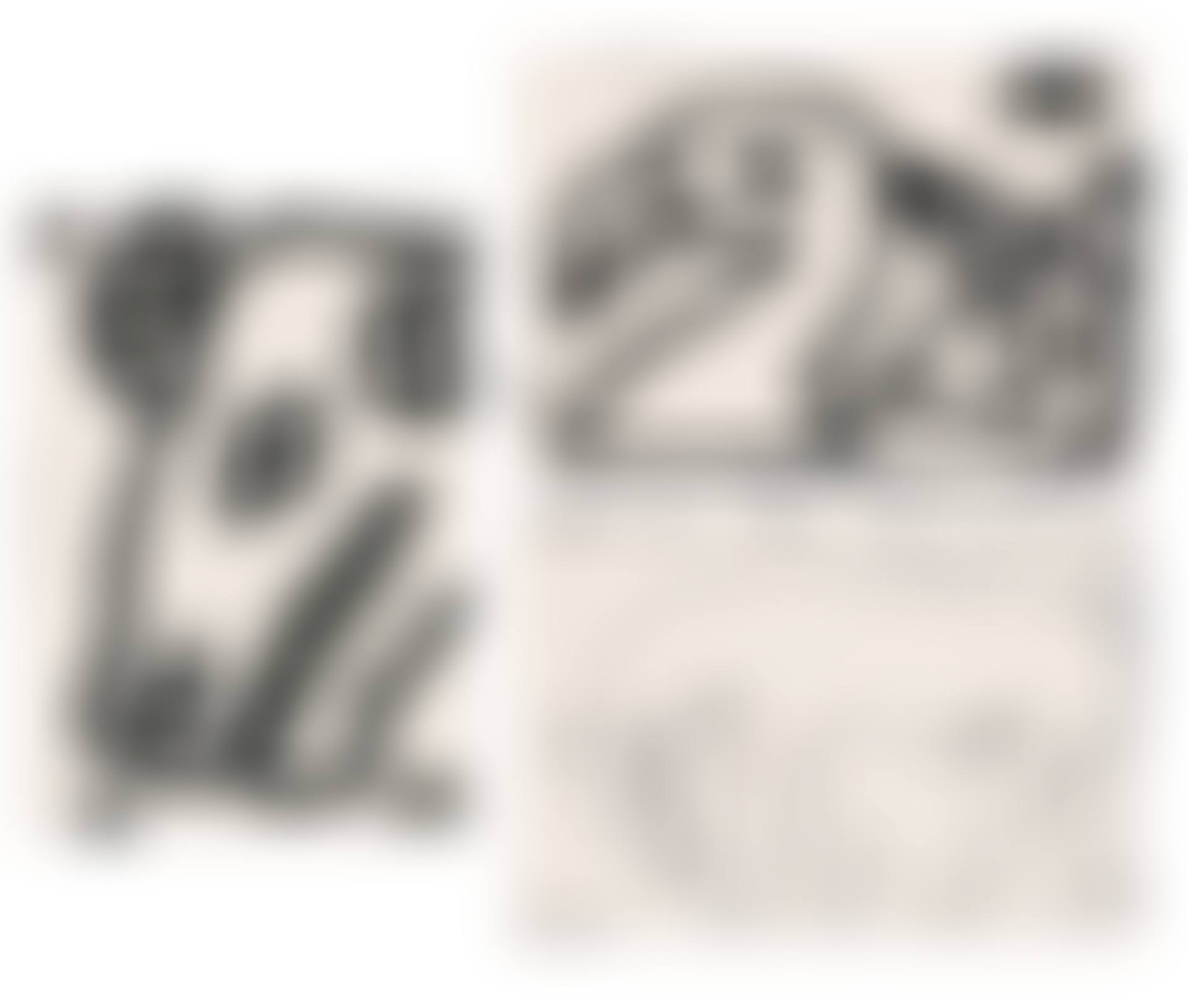 Animal Head; Birds; Horse (preview)