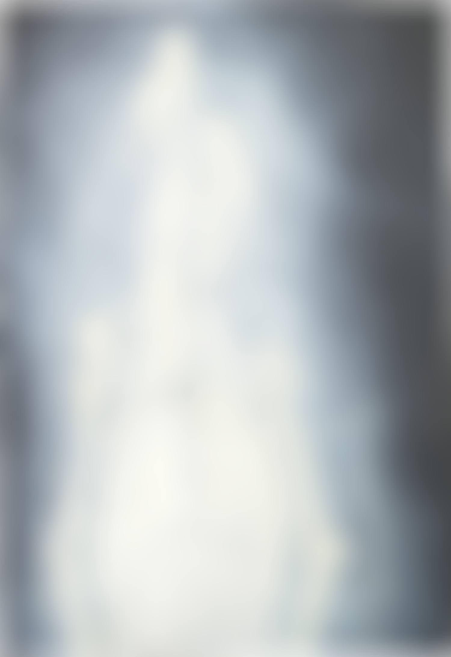 Der Kardinal hinter dem Vorhang (preview)