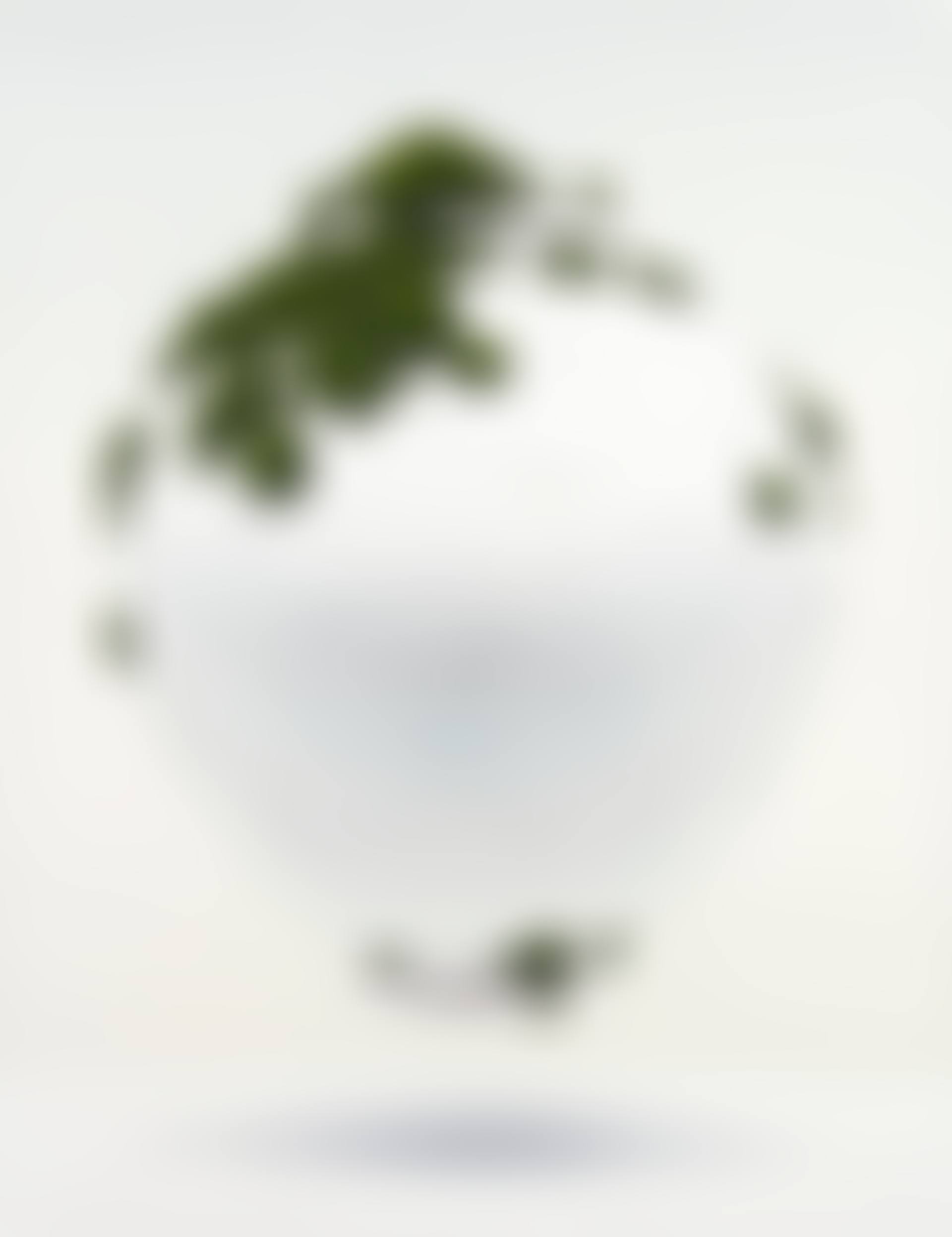 Moss on Jar (preview)