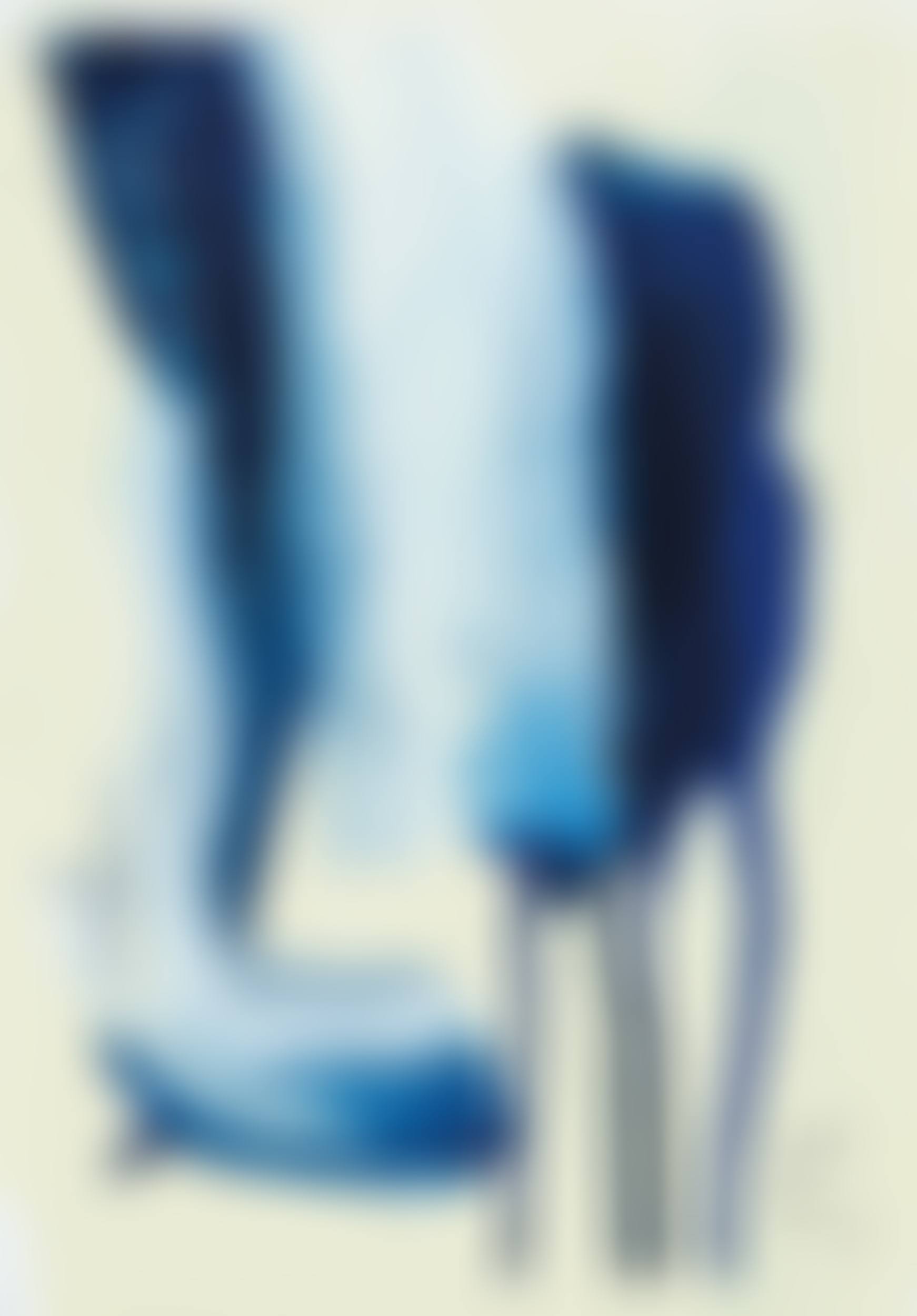 The Method of Drawing (preview)