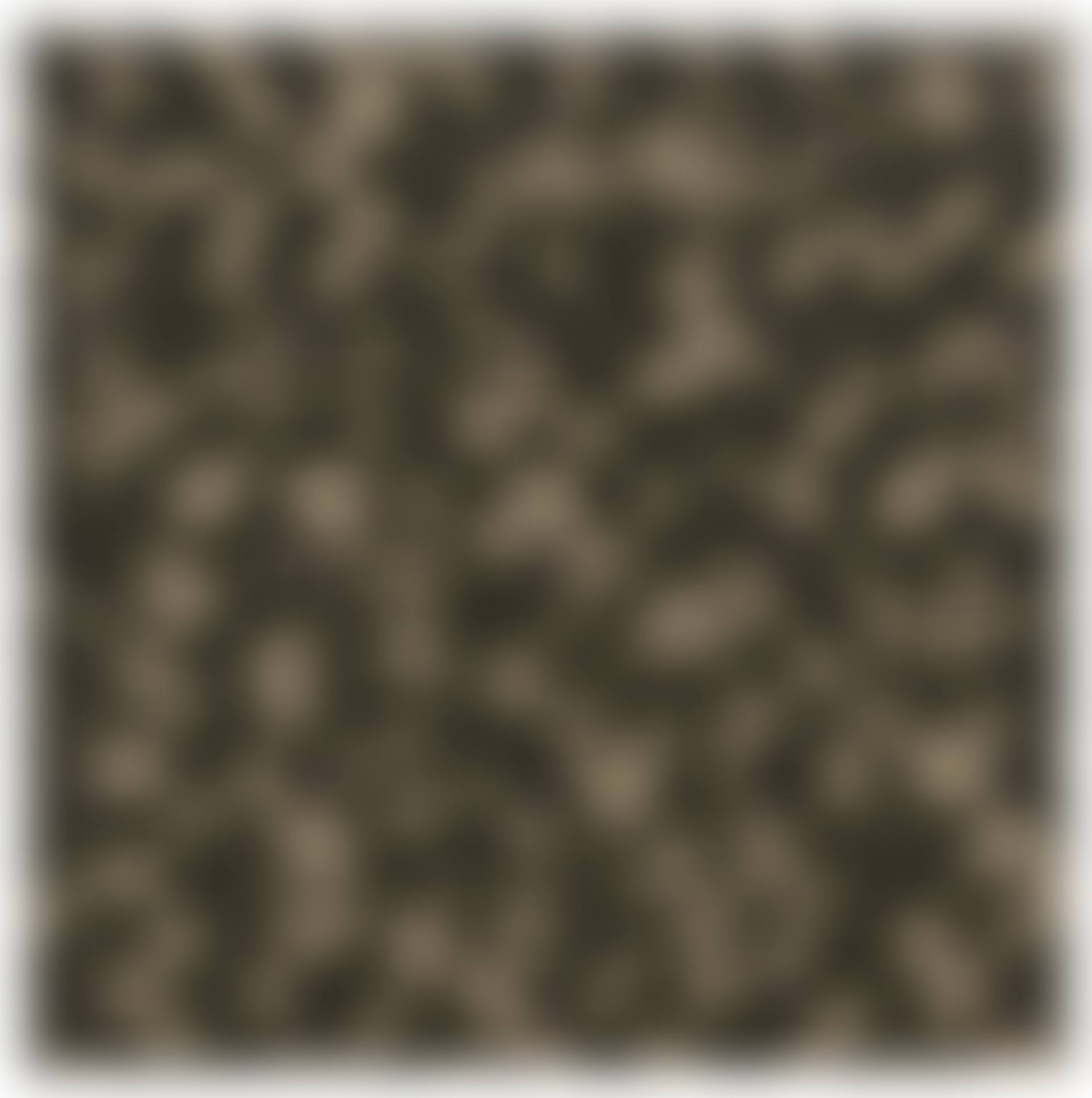 Monogramouflage Treillis (preview)