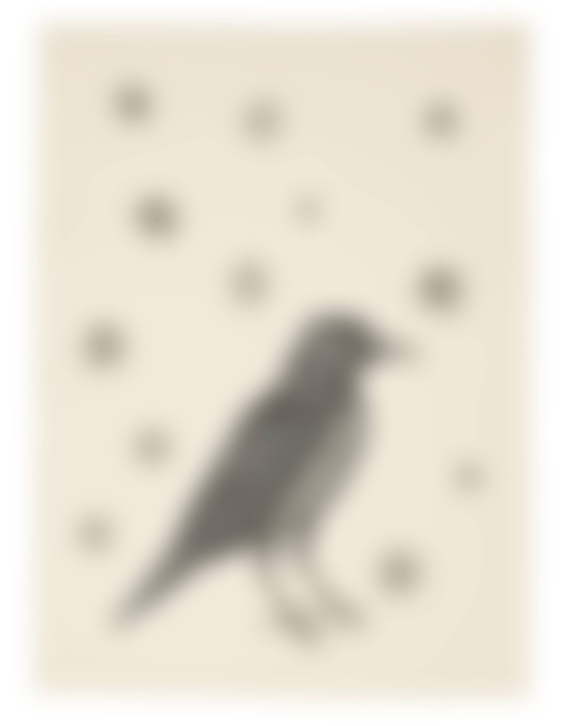 Bird with Stars (preview)
