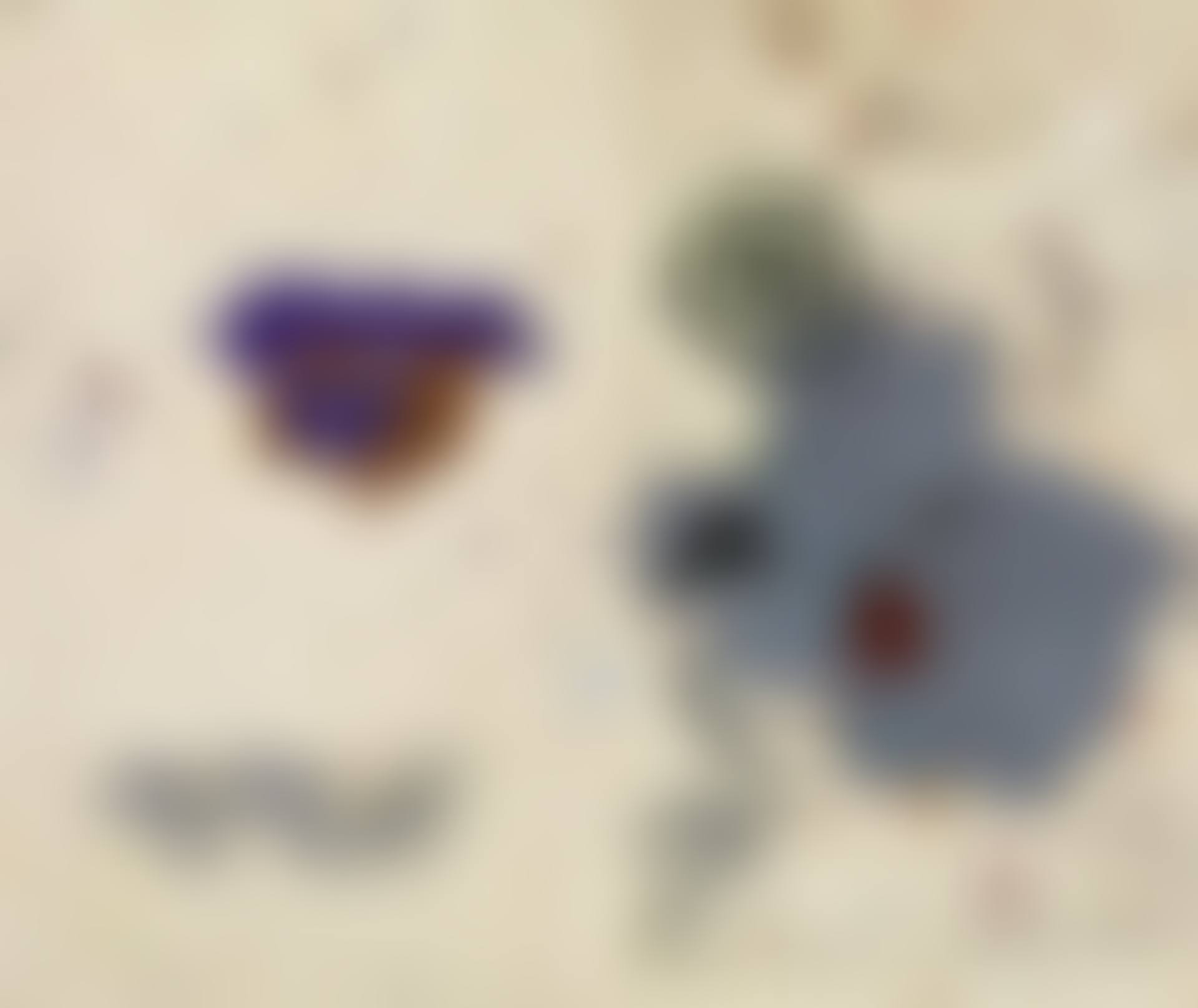 Beak Doctor (preview)