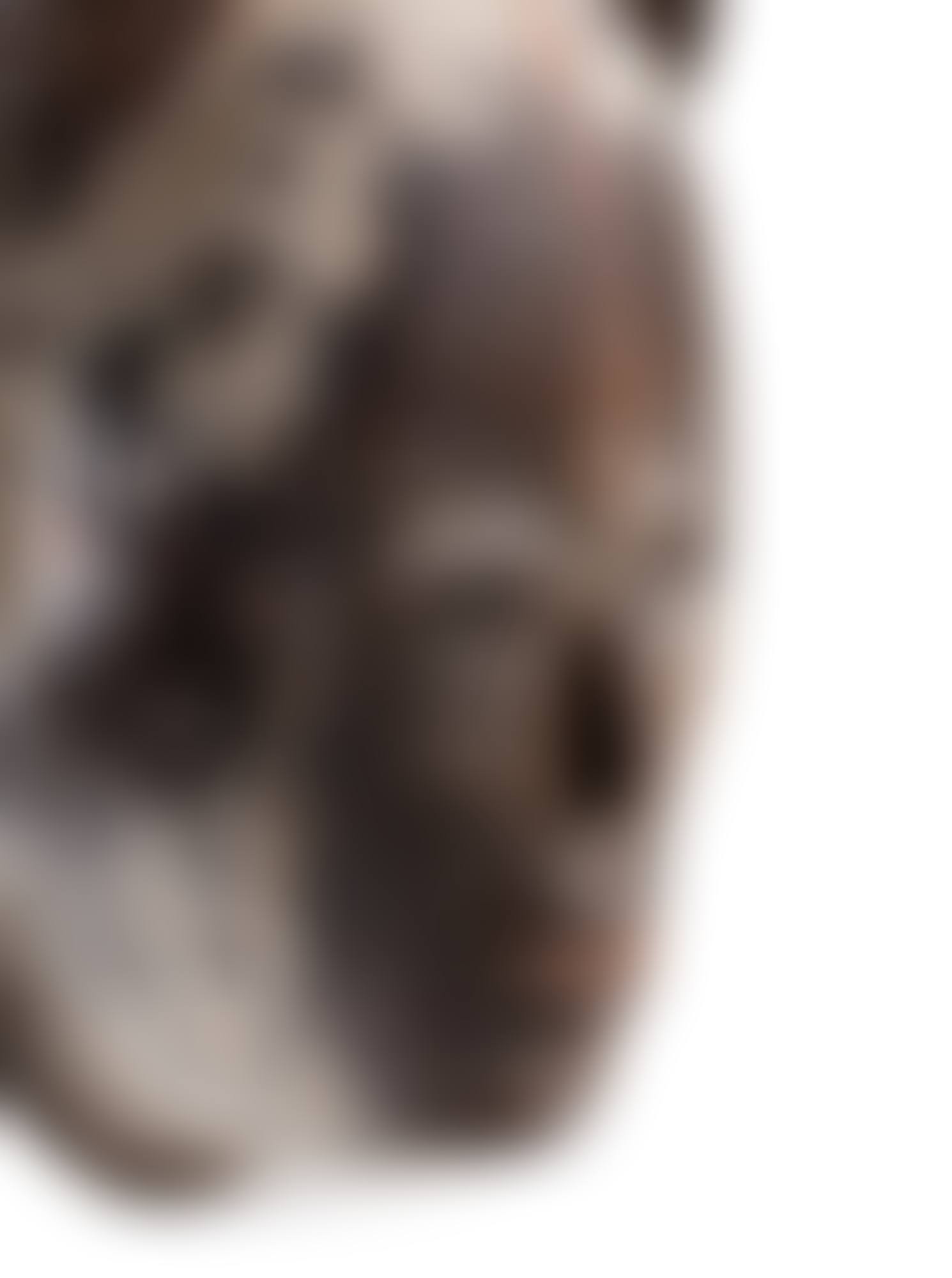 Masque, Punu, Gabon | Punu Mask, Gabon (preview)
