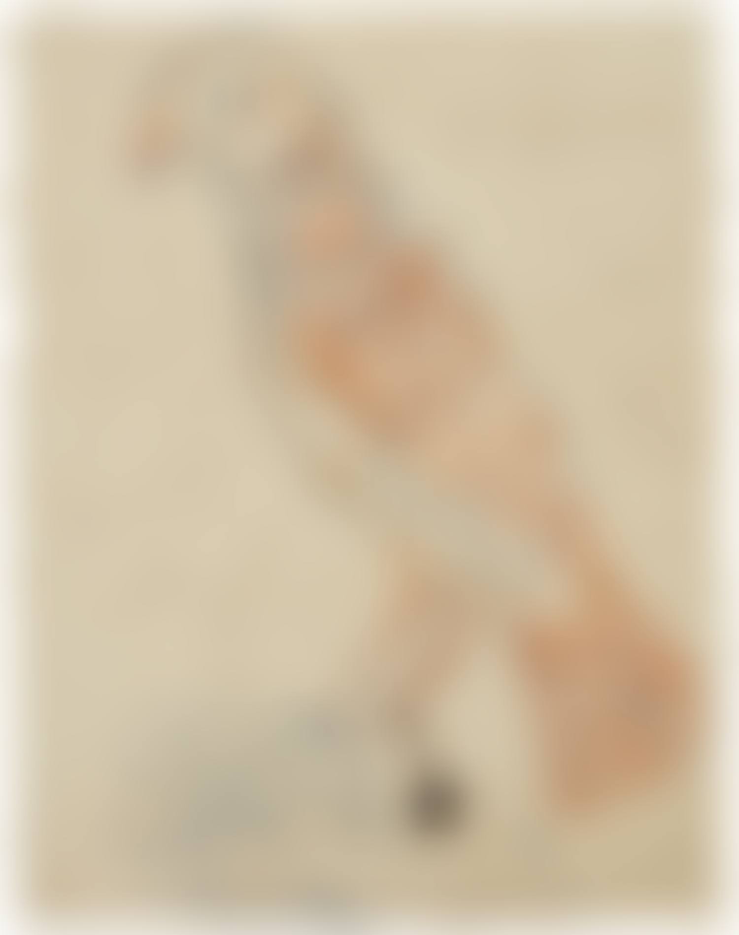Parrot (preview)