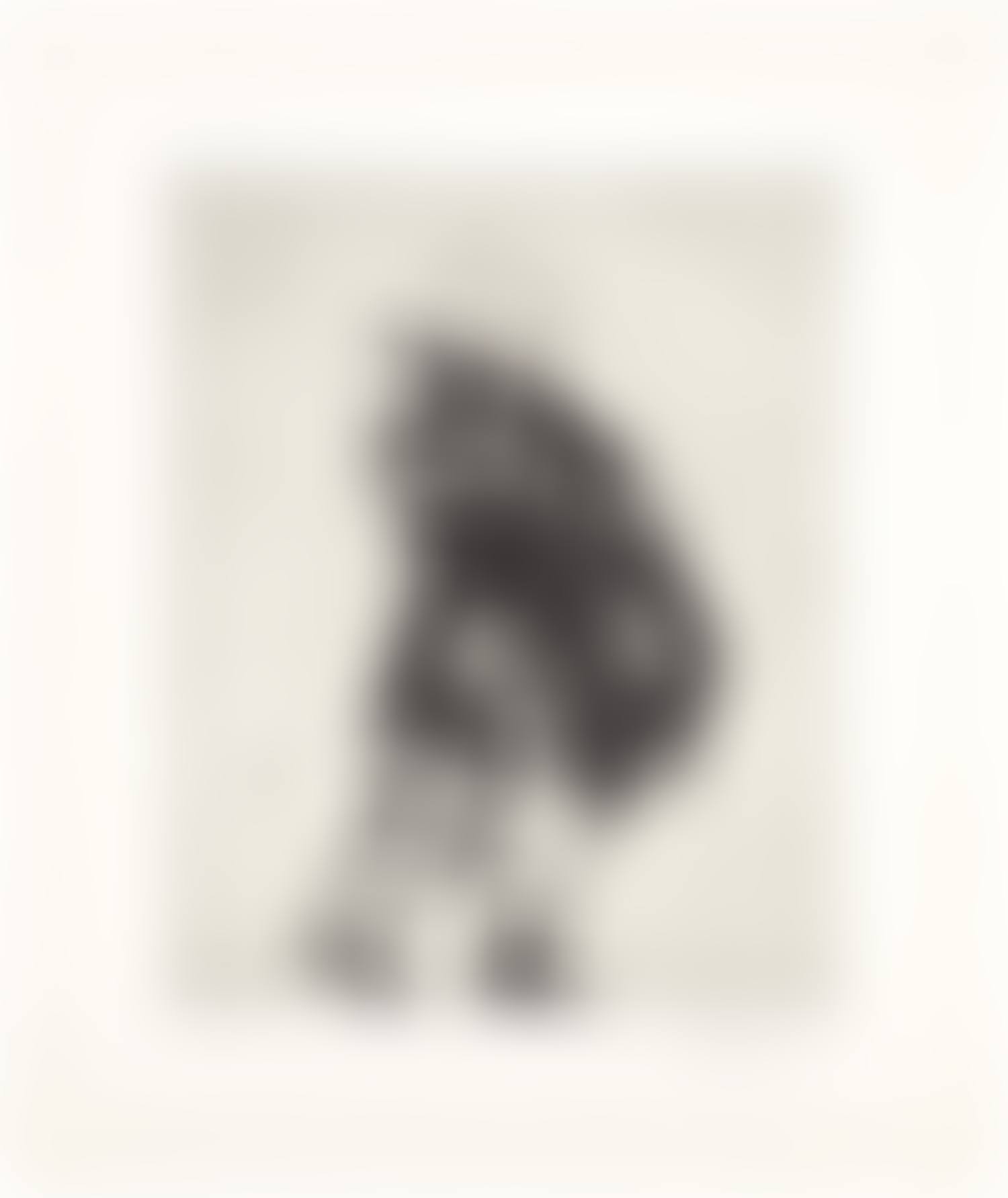 Wrapped Man, from Zeno at 4am (K. pp. 118-119) (preview)