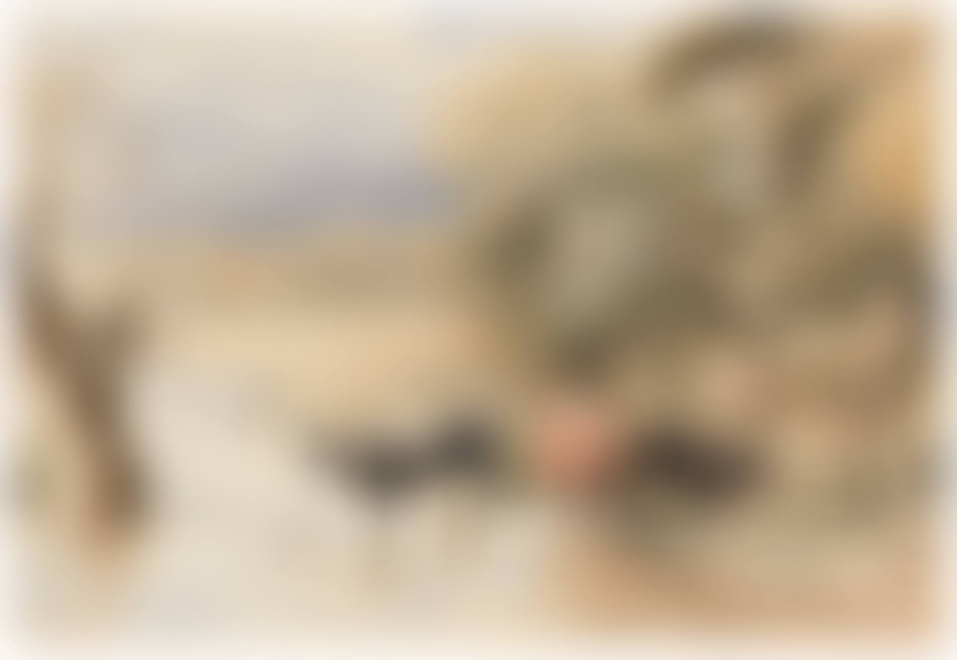 Cattle in a river, a study for "Shallow Rivers" (preview)