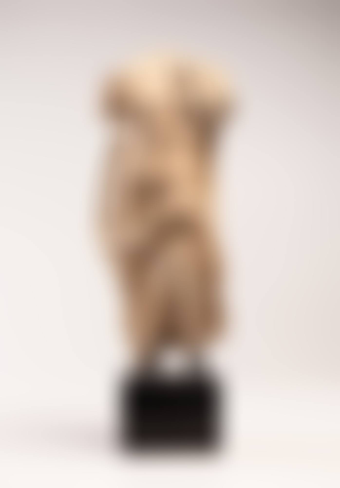 A Roman Marble Torso of the Young Dionysos (preview)