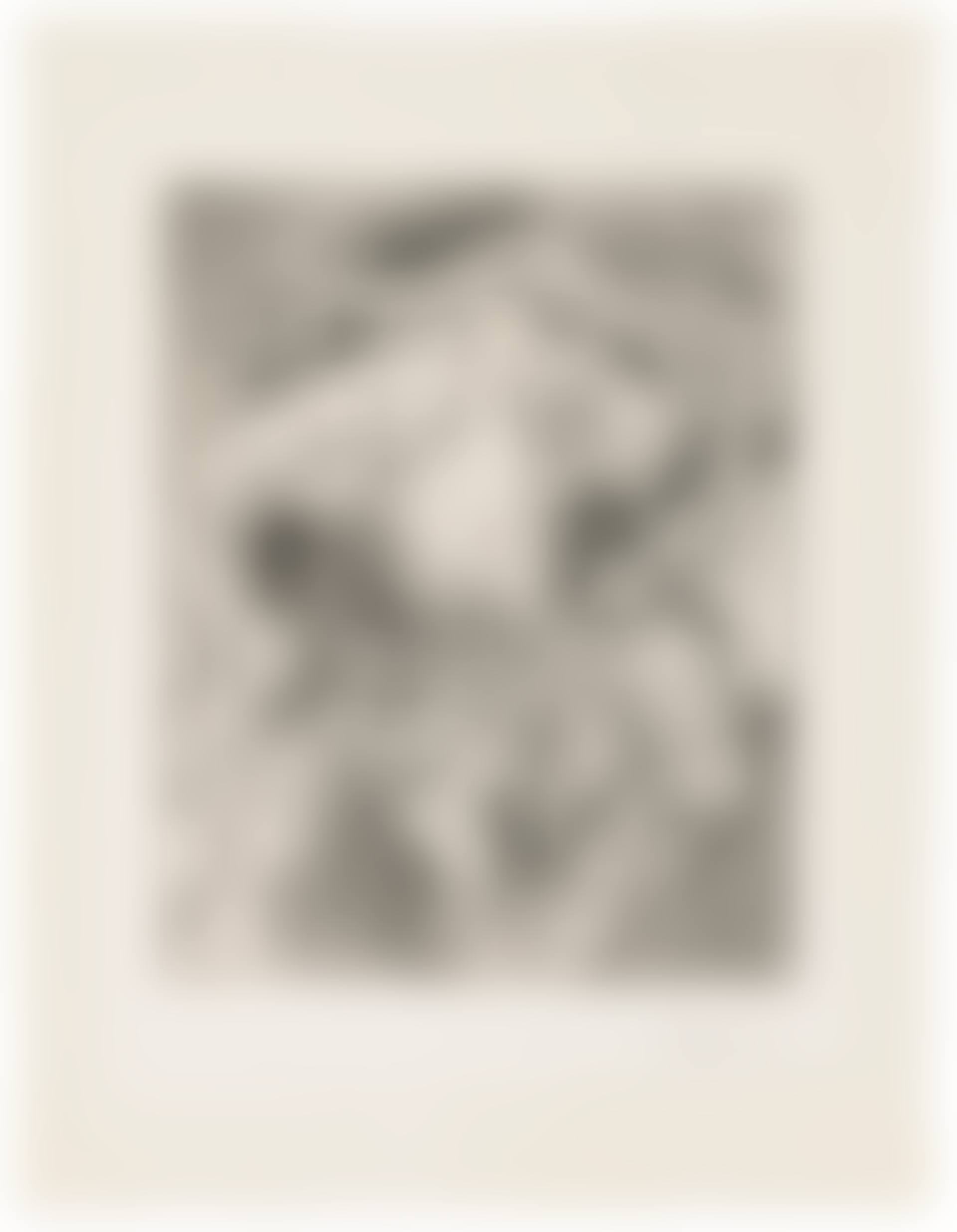 Marie-Therese en Femme Torero from: La Suite Vollard (preview)