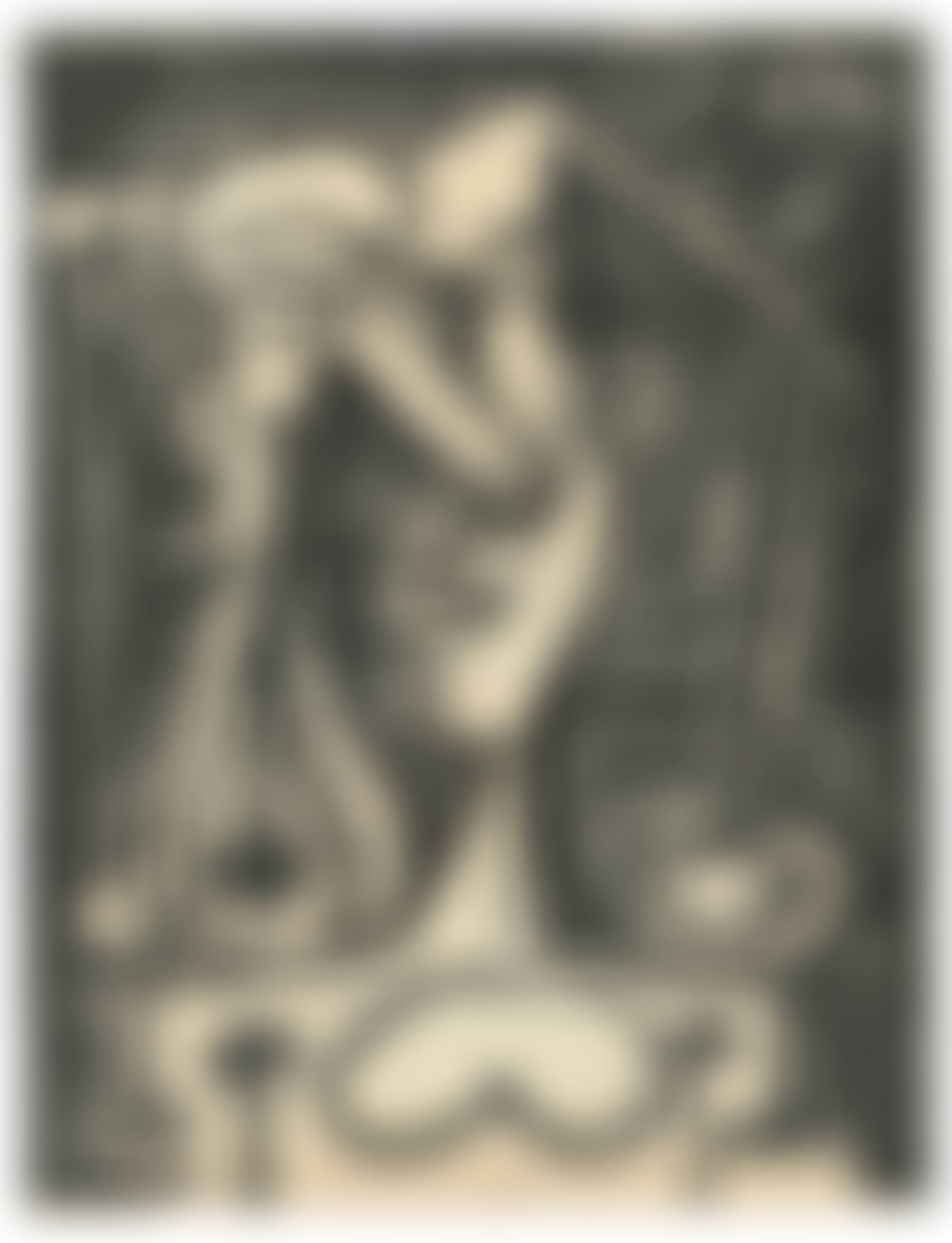 Figure composée I (preview)