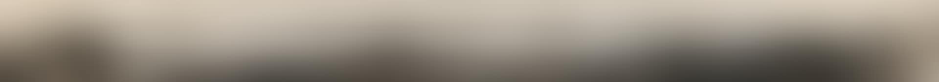 A Panoramic Photograph of the Shanghai Bund (preview)