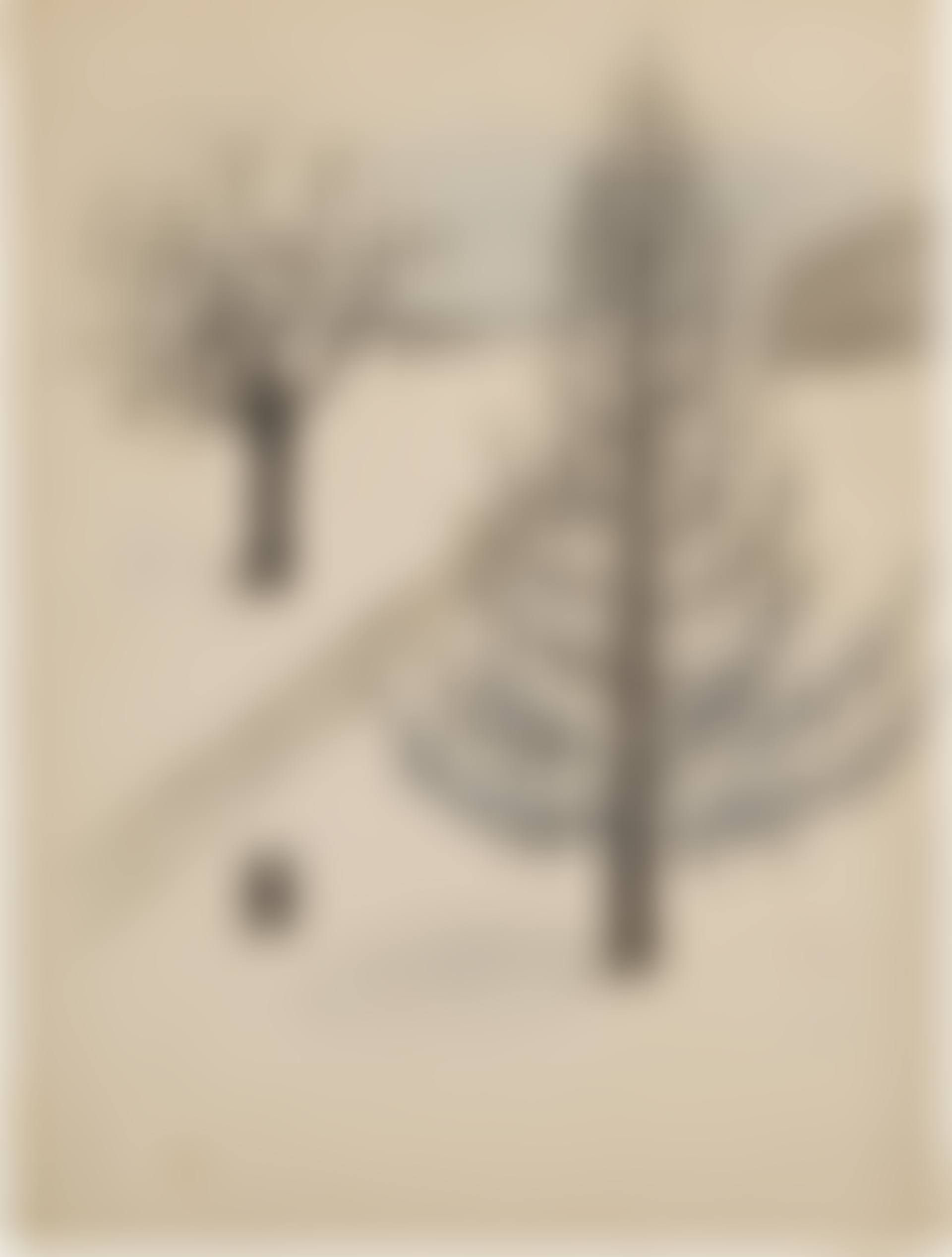 Trees in Snow (preview)