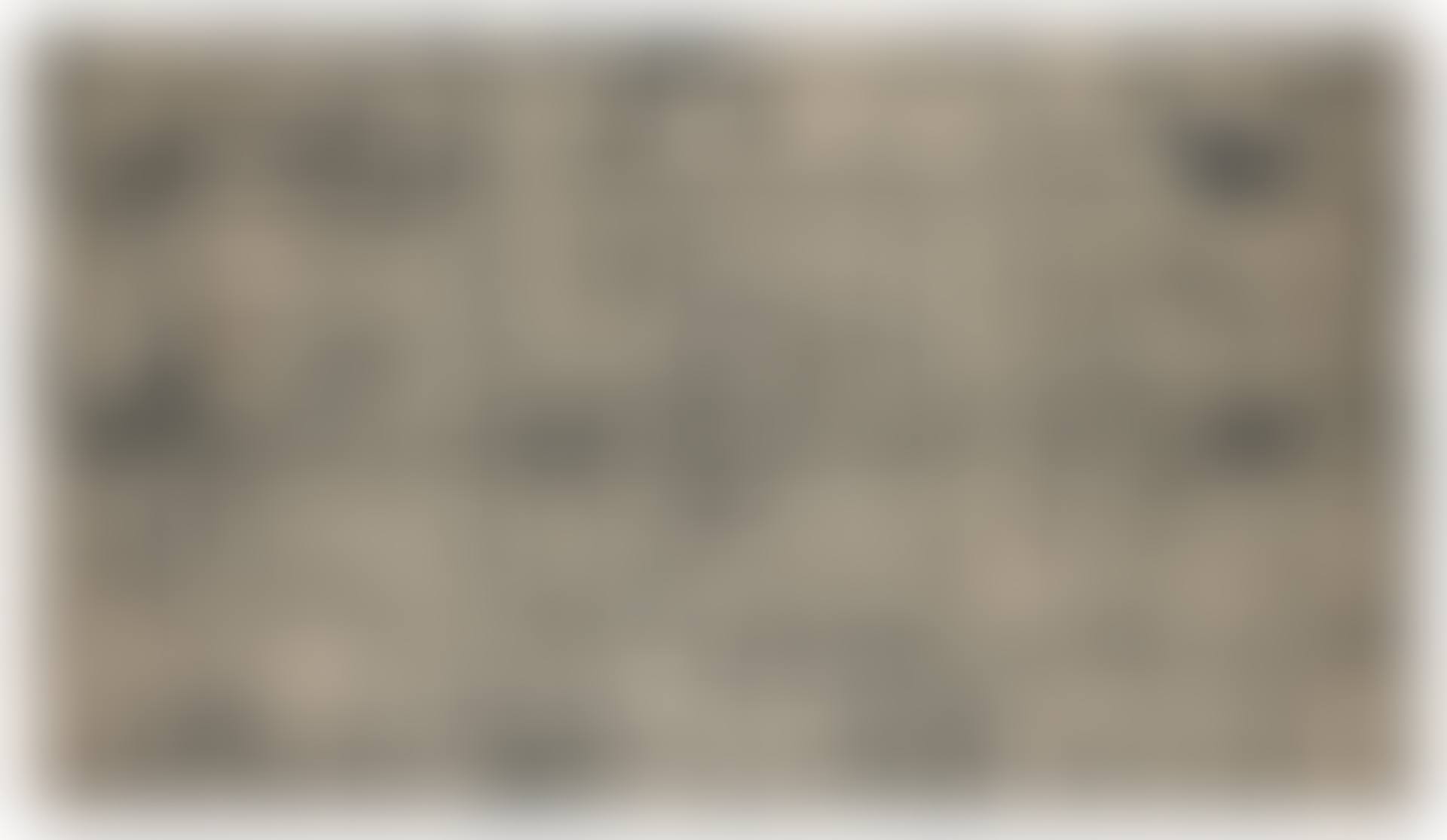 Marginalis (Los Angeles, California, May 1-August 1, 2014) (preview)