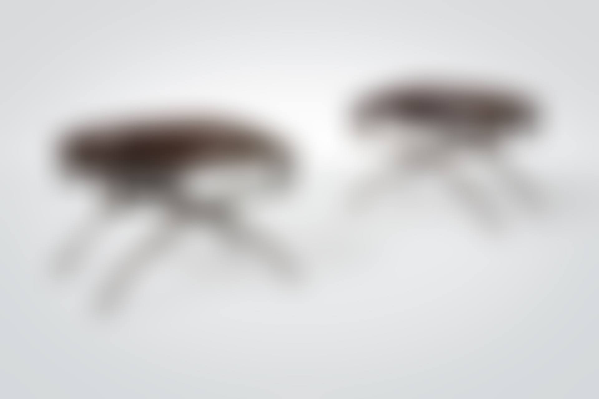 Pair of "Atlante" Benches (preview)