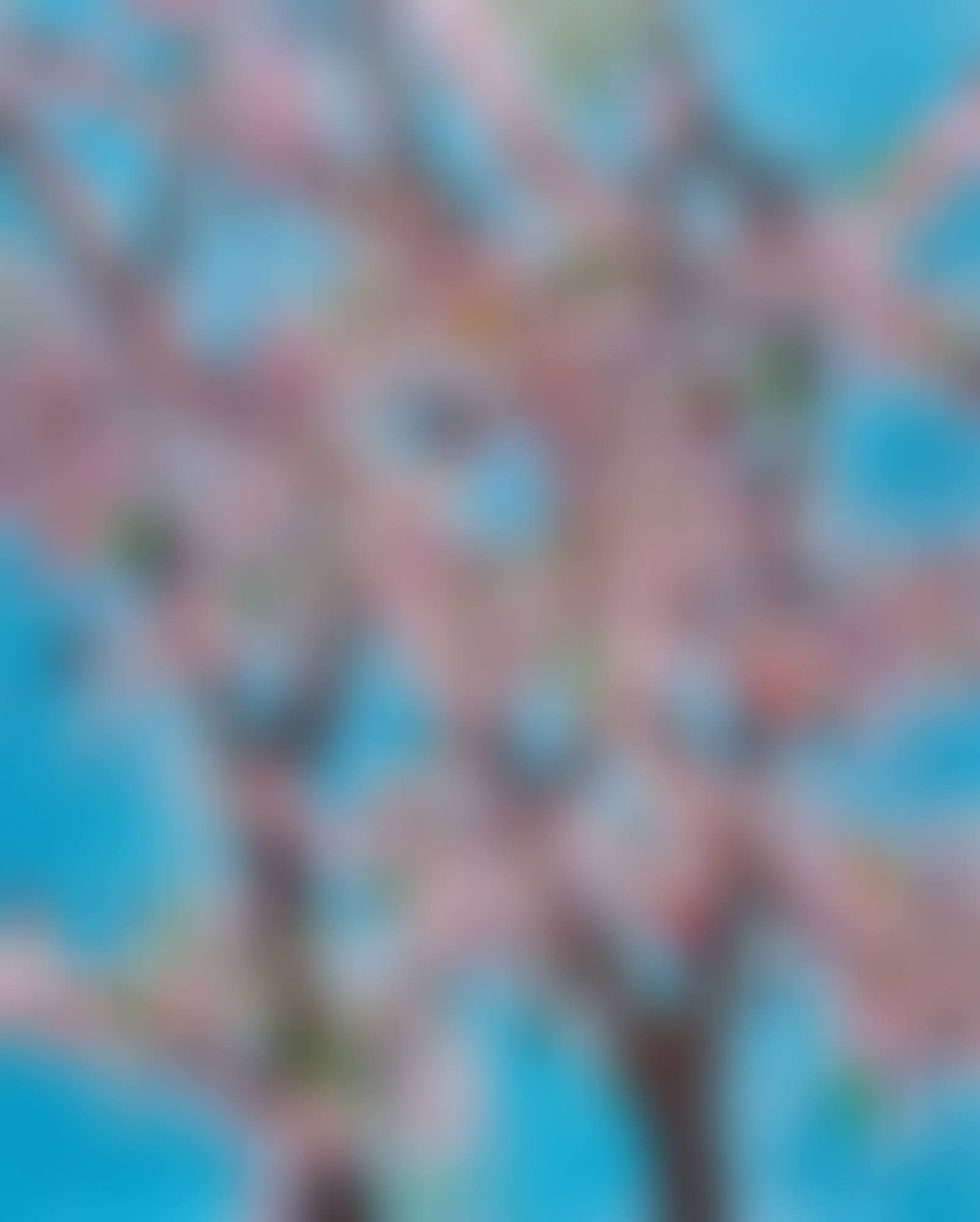 Honour | 榮譽 (preview)