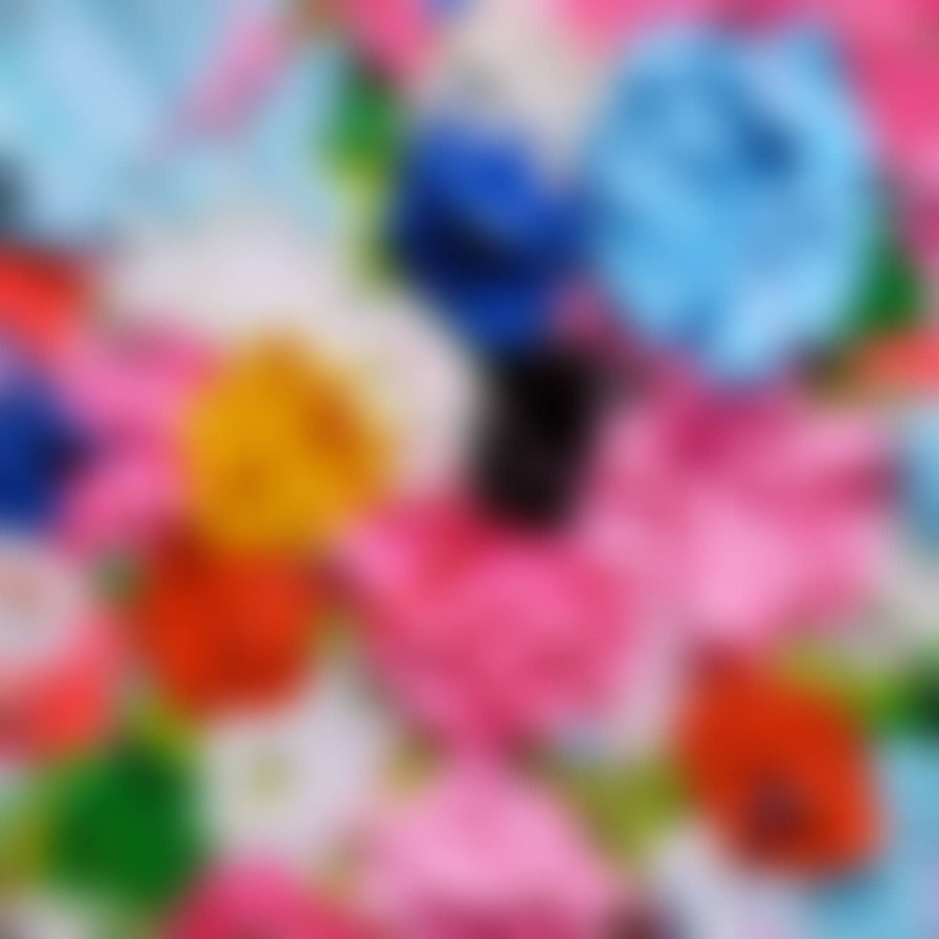 FRUITFUL (SMALL) (preview)